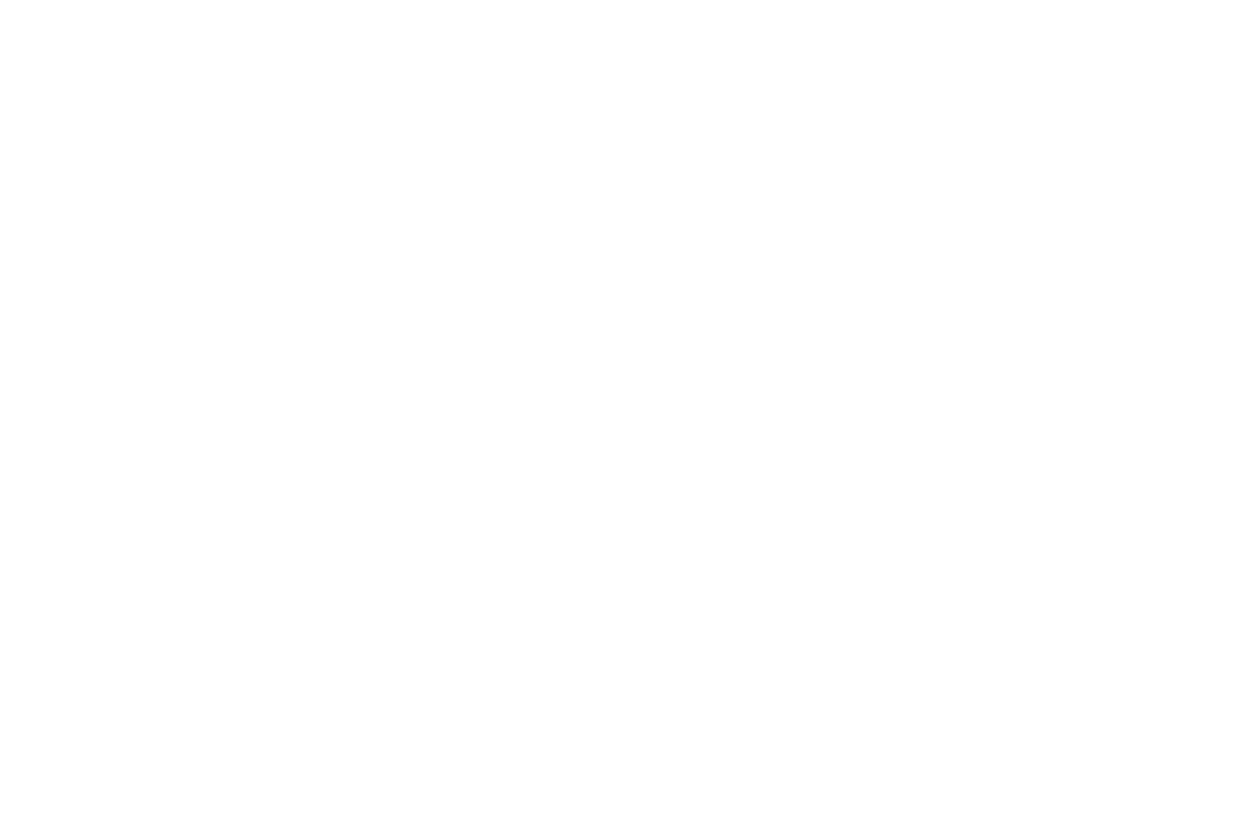Schwarz-weiße Bild mit Registrierungsinformationen, darunter Kunde: Haftbefehl, Direktor: Moritz Hermann, Ort: Hamburg, Deutschland, Datum: 12/25.
