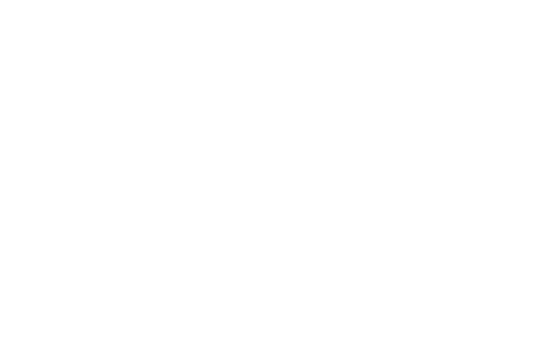 Das Bild ist leer mit einem weißen Hintergrund.