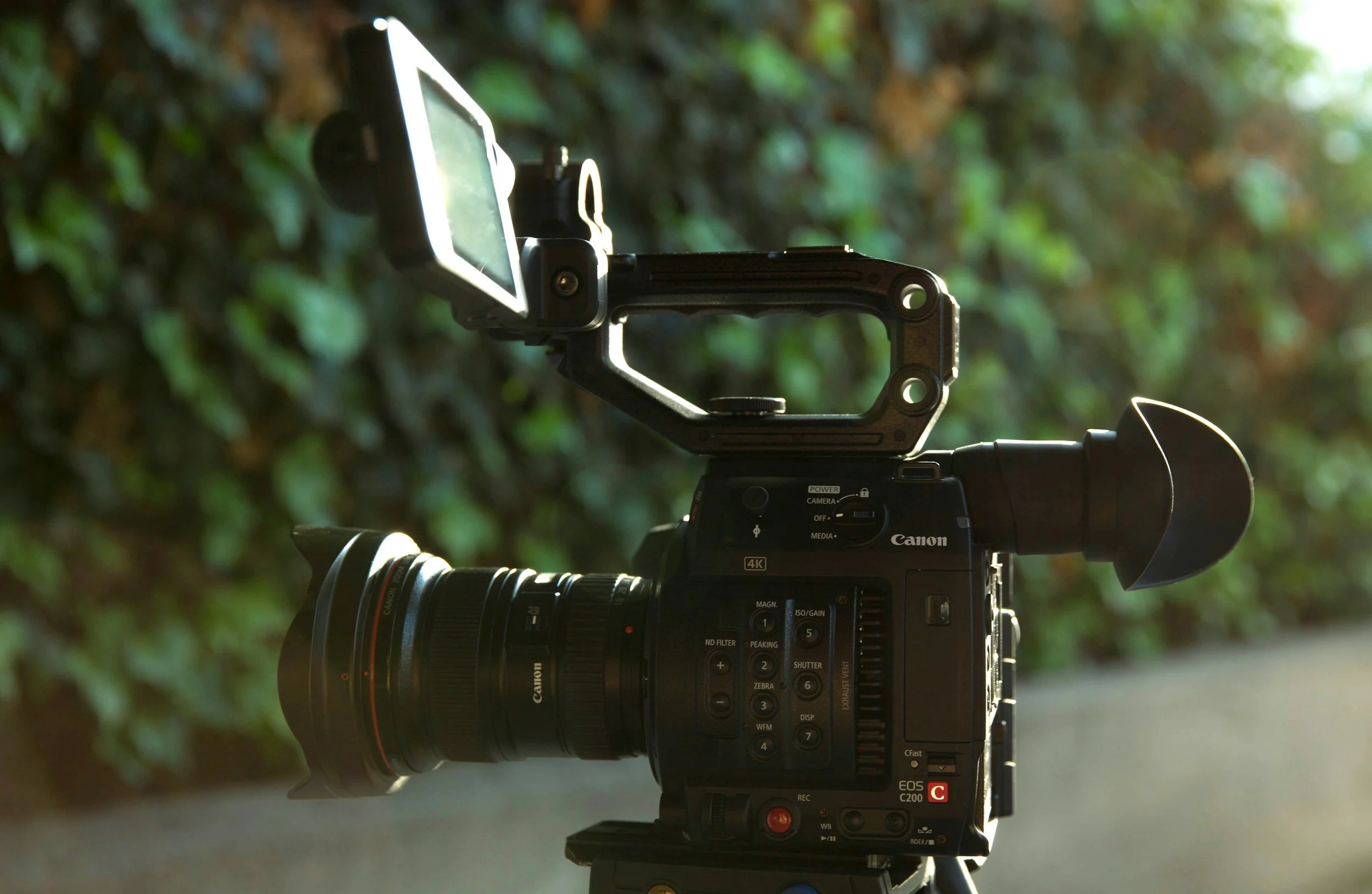 Professional Canon video camera with a lens and monitor, set up outdoors in front of a background of green foliage.