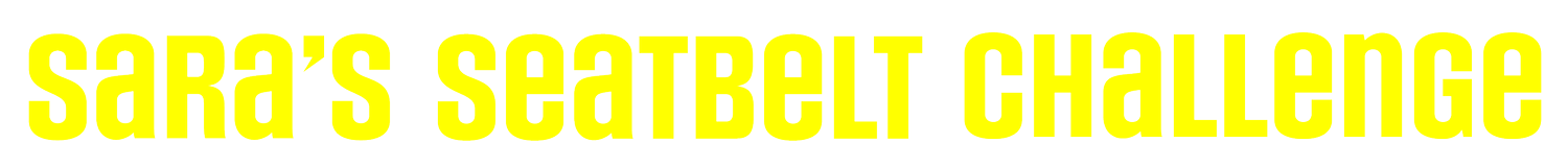 Sara's Seatbelt Challenge