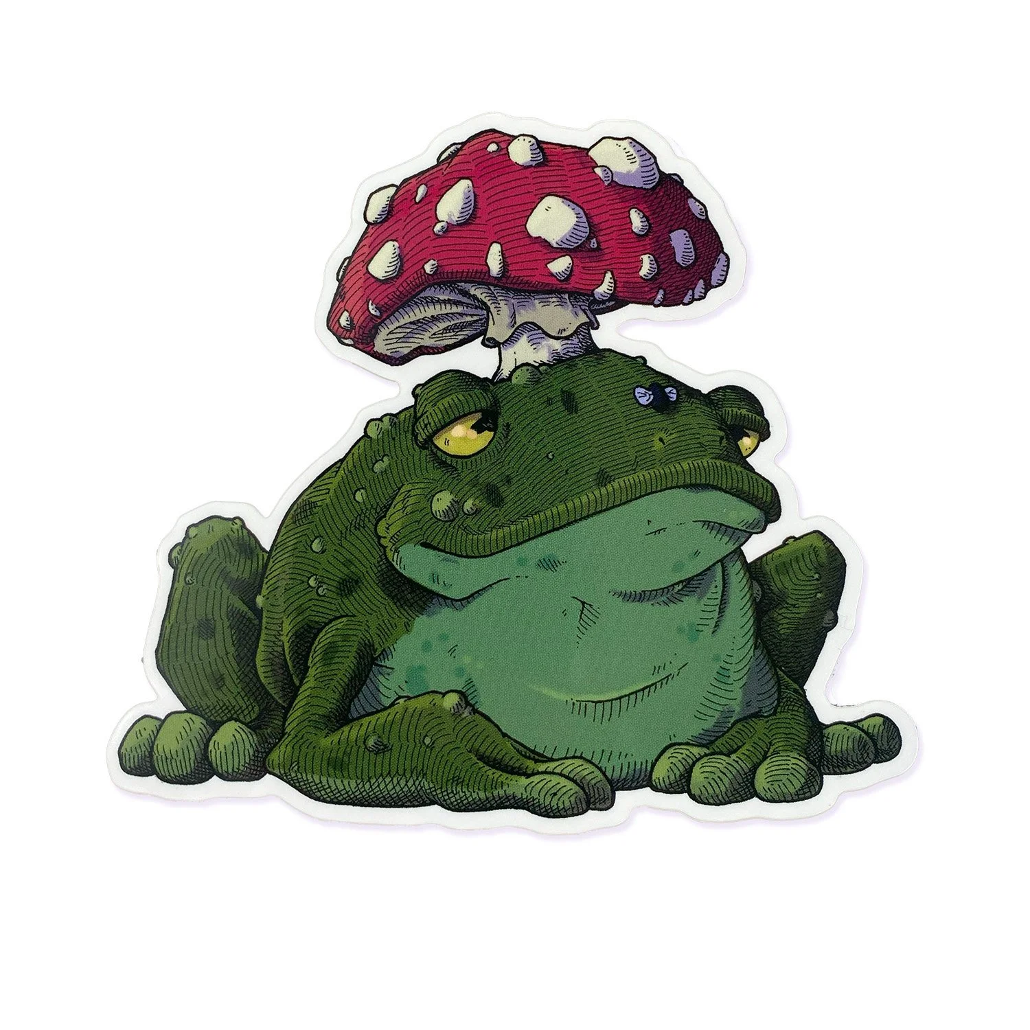 Toad