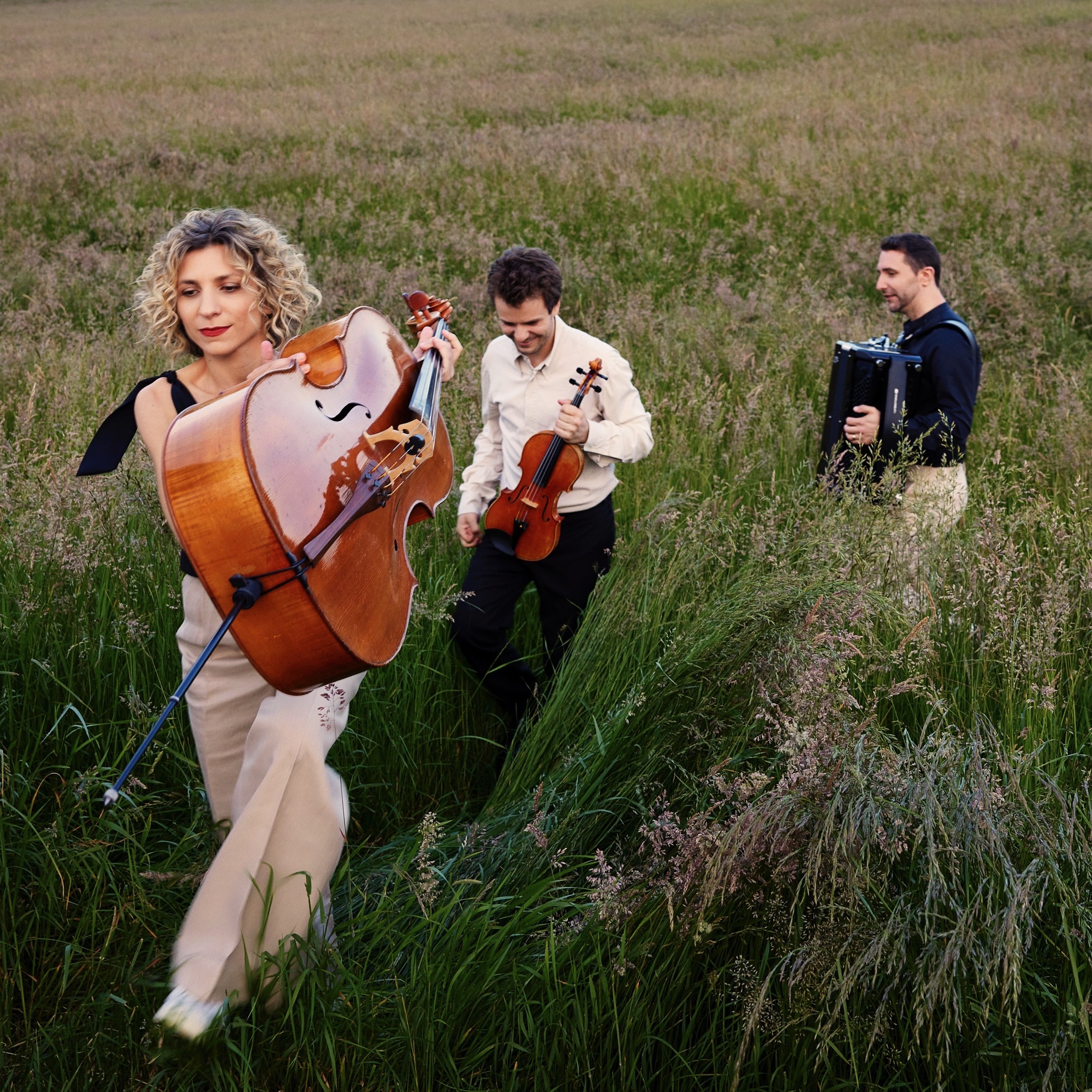 Three musicians performing in a grassy meadow with a cello, violin, and accordion.