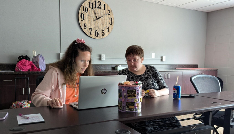 The Growth of Peer Mentoring in Wisconsin