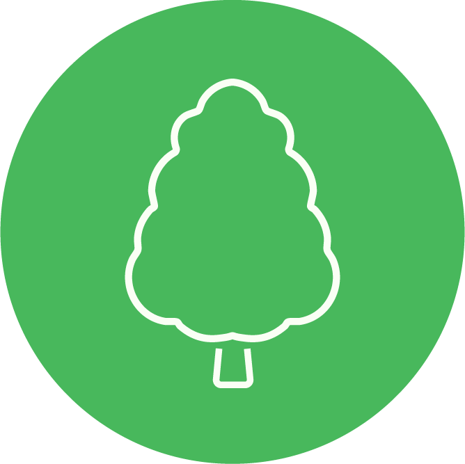 Outline of a tree on a green circular background.