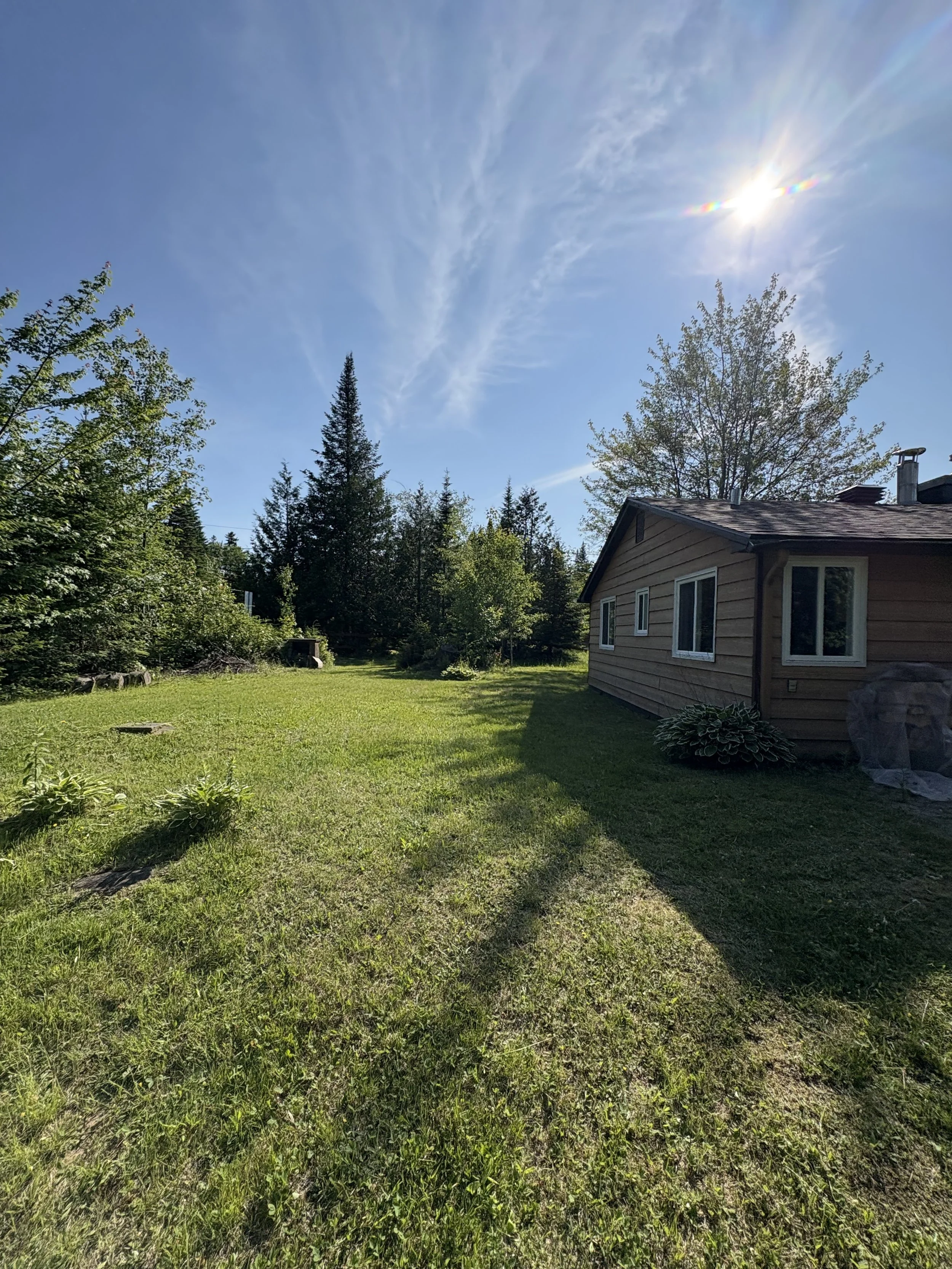 Jardin ensoleillé avec maison en bois, arbres, et ciel bleu avec quelques nuages.
