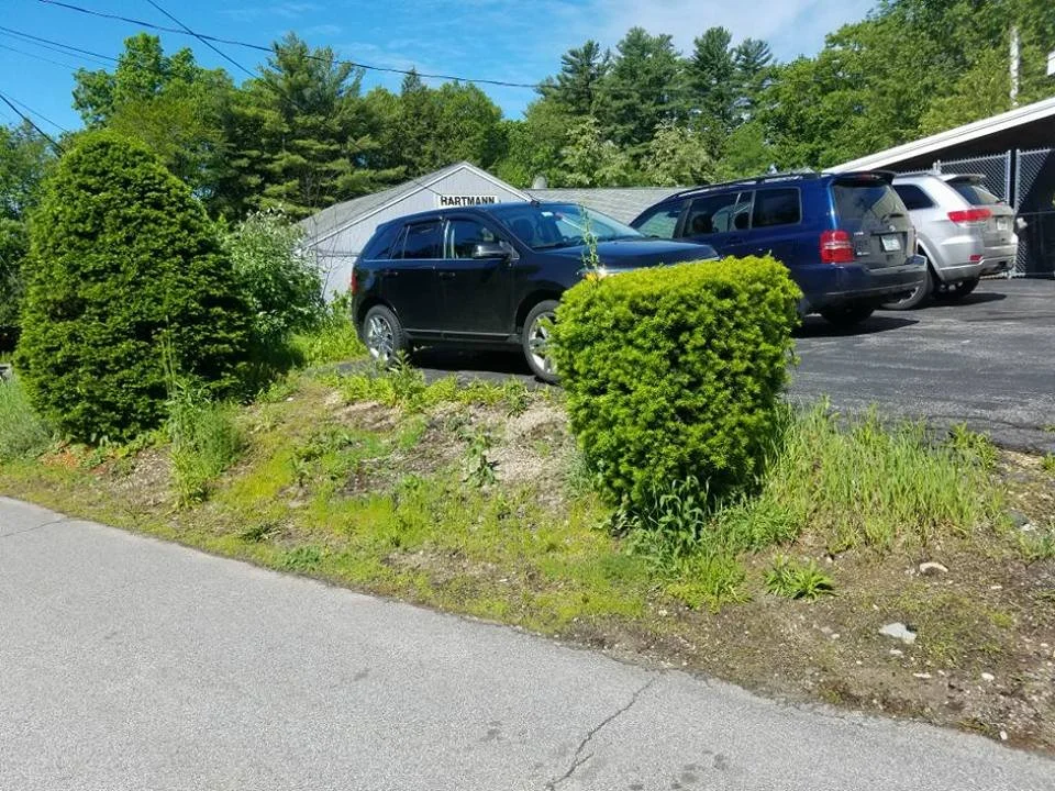 Bed Cleanup and Mulch Before 5.jpg