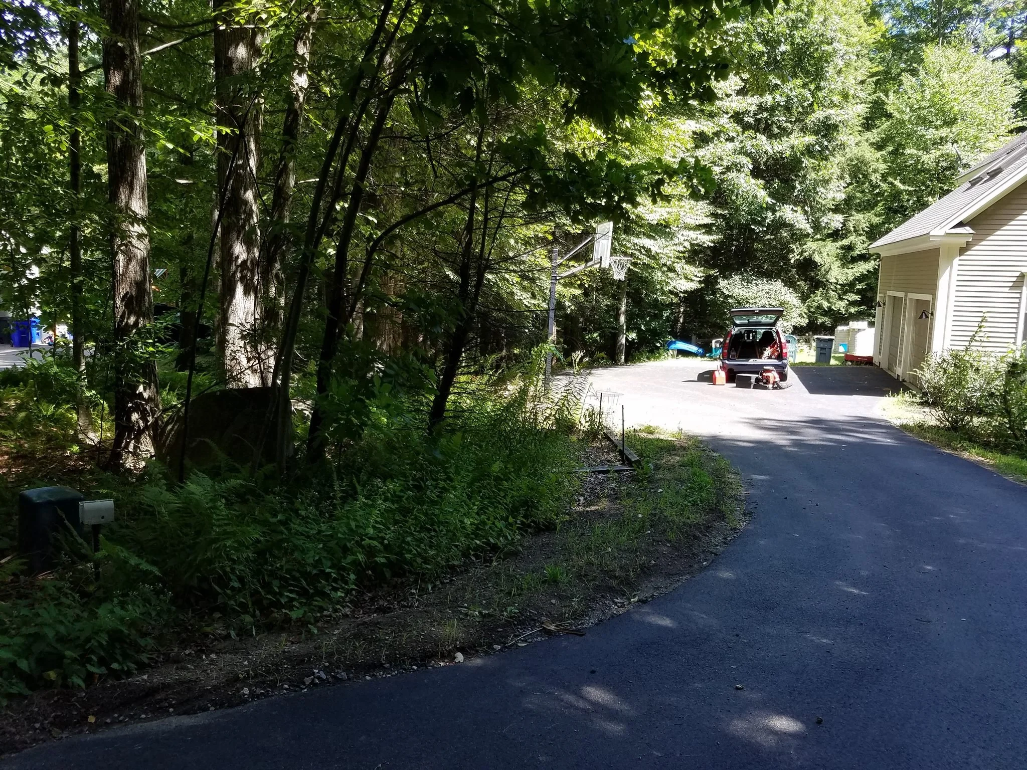 Landscape Renovation Before 3.jpg