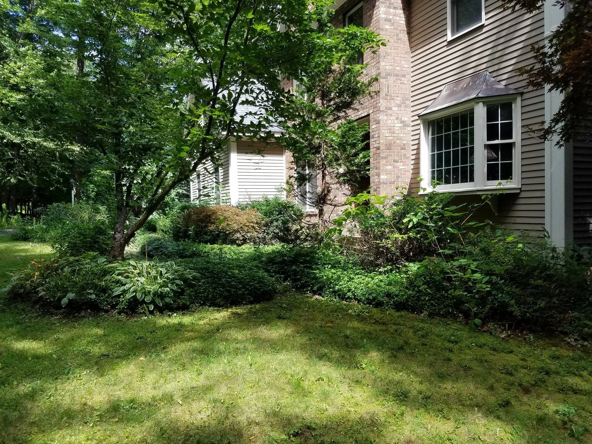 Landscape Renovation Before 6.jpg