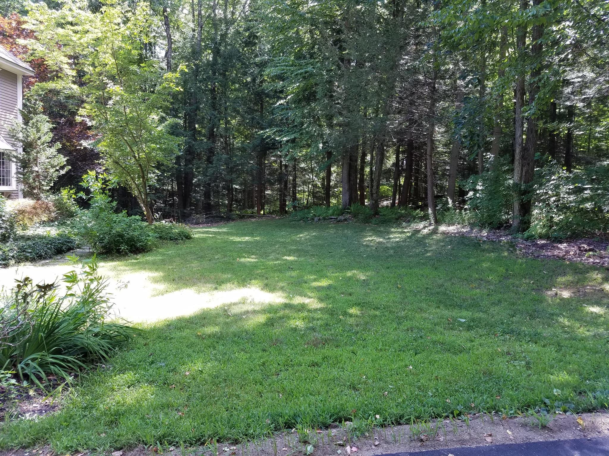 Landscape Renovation Before 7.jpg