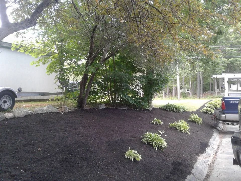 Bed Cleanup and Mulch After 3.jpg
