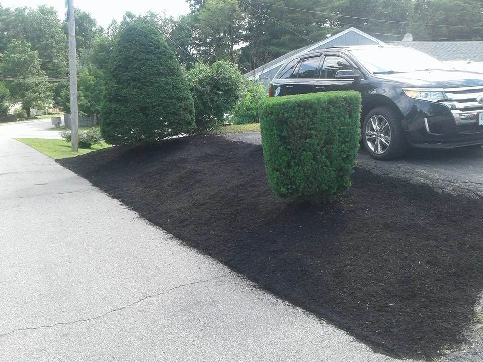 Bed Cleanup and Mulch After 5.jpg