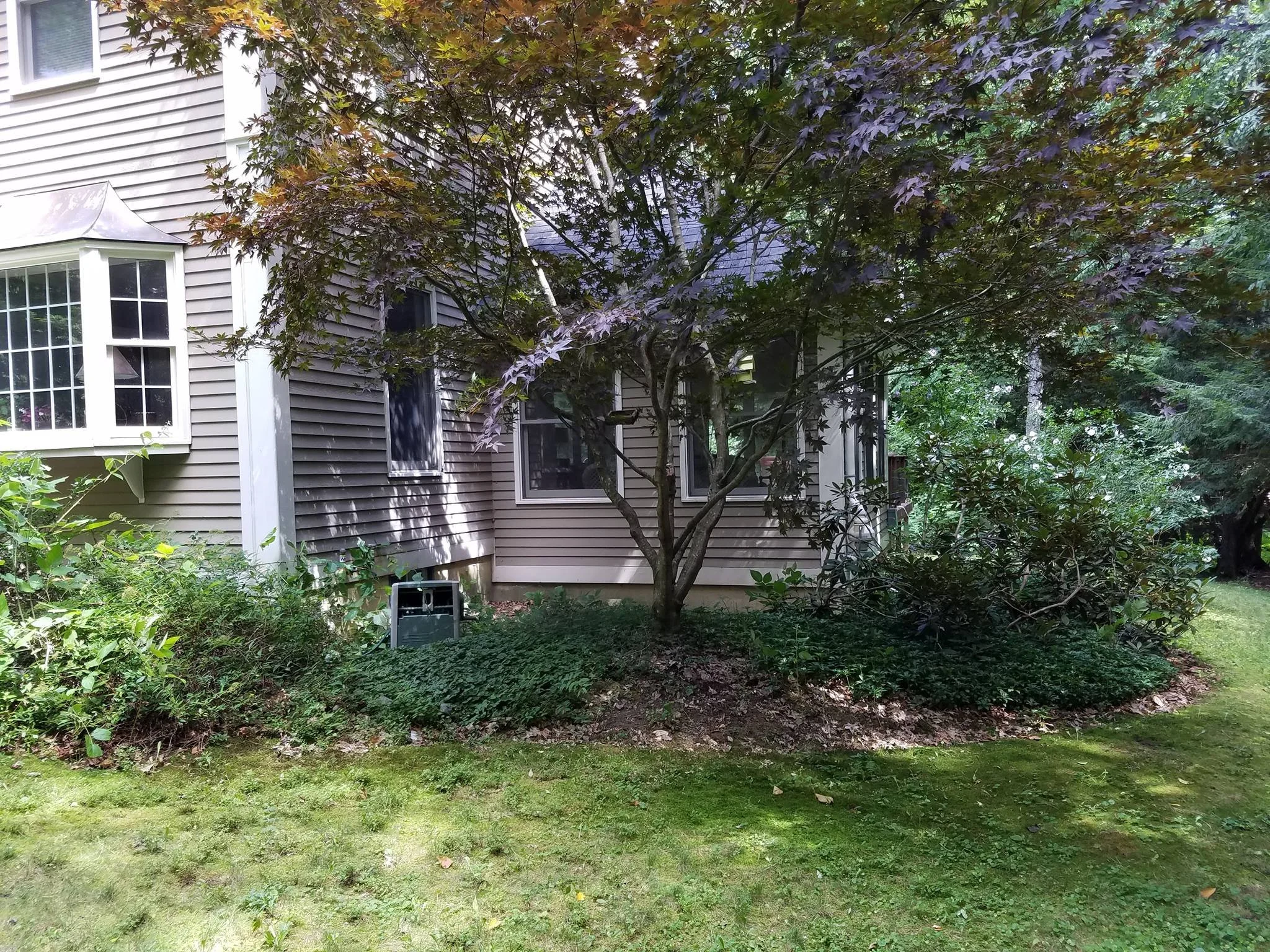 Landscape Renovation Before 5.jpg