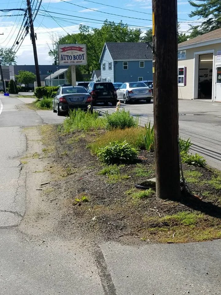 Bed Cleanup and Mulch Before 4.jpg