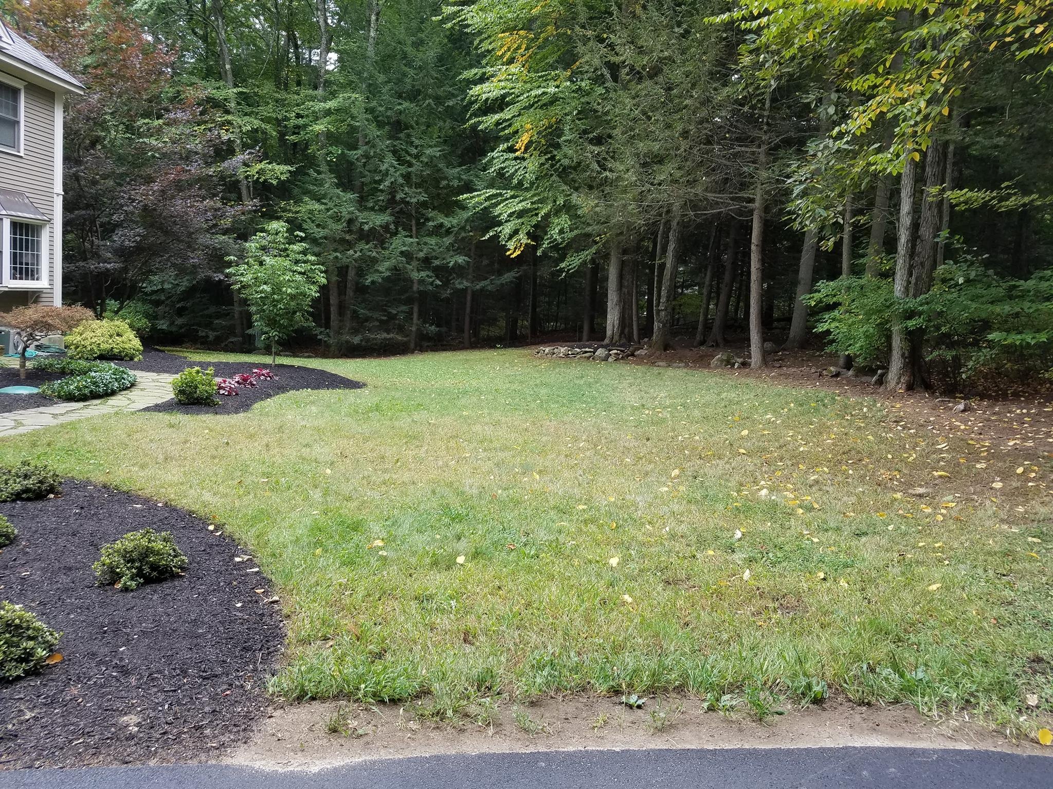 Landscape Renovation After 7.jpg