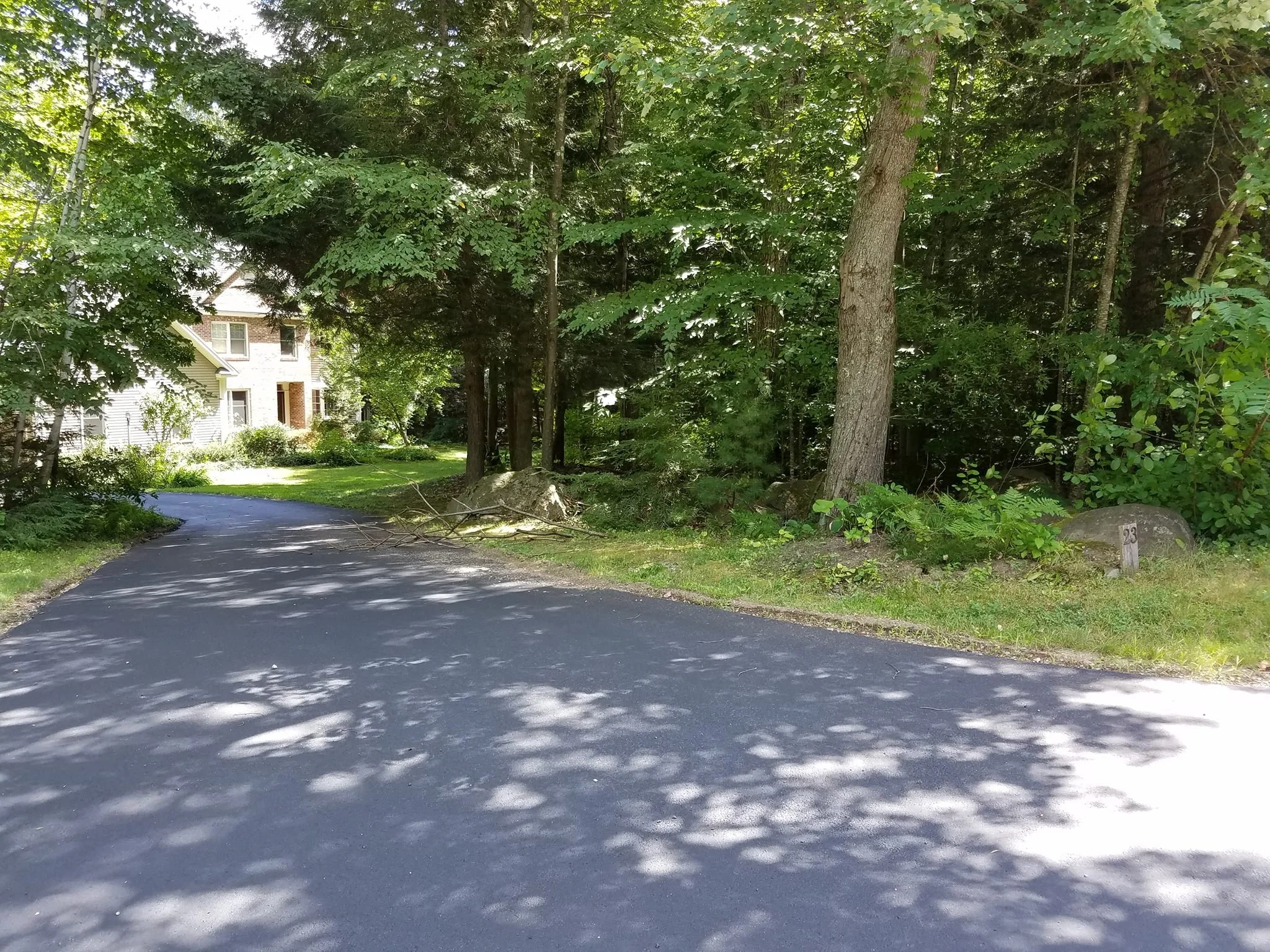 Landscape Renovation Before 1.jpg