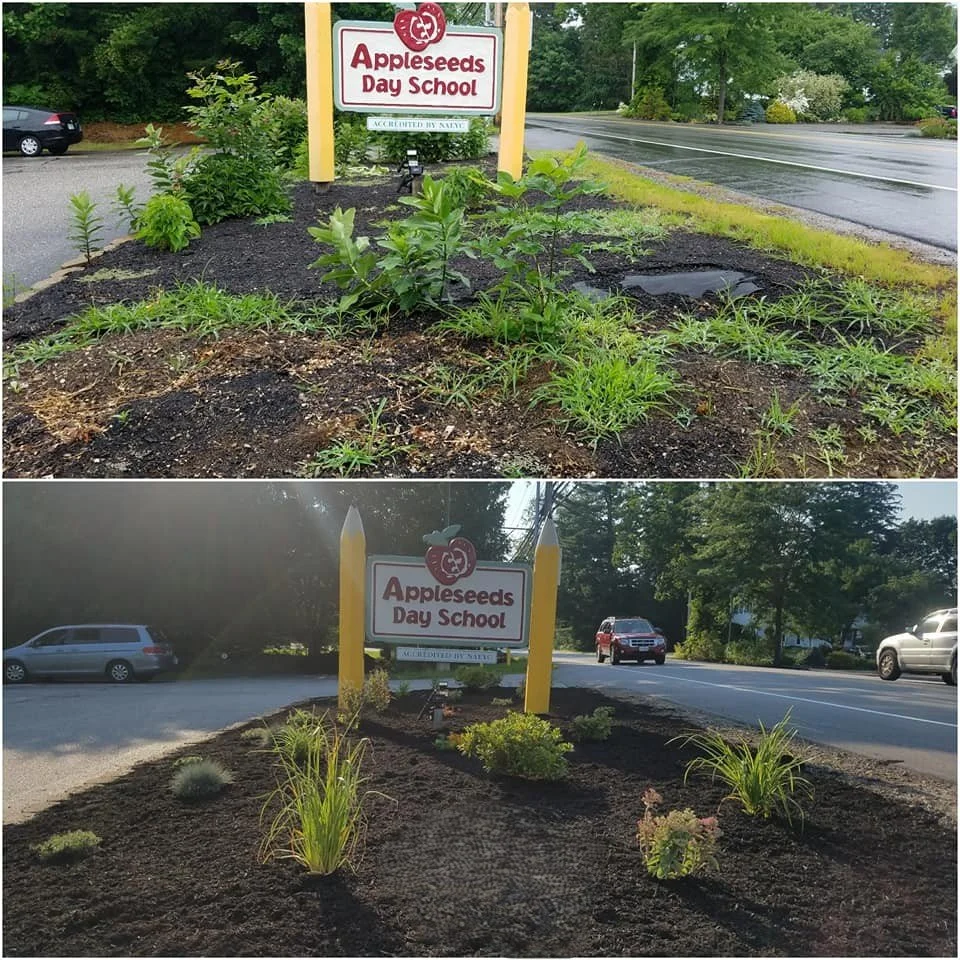 Mulch Bed Before and After 2 Logo Removed.jpg