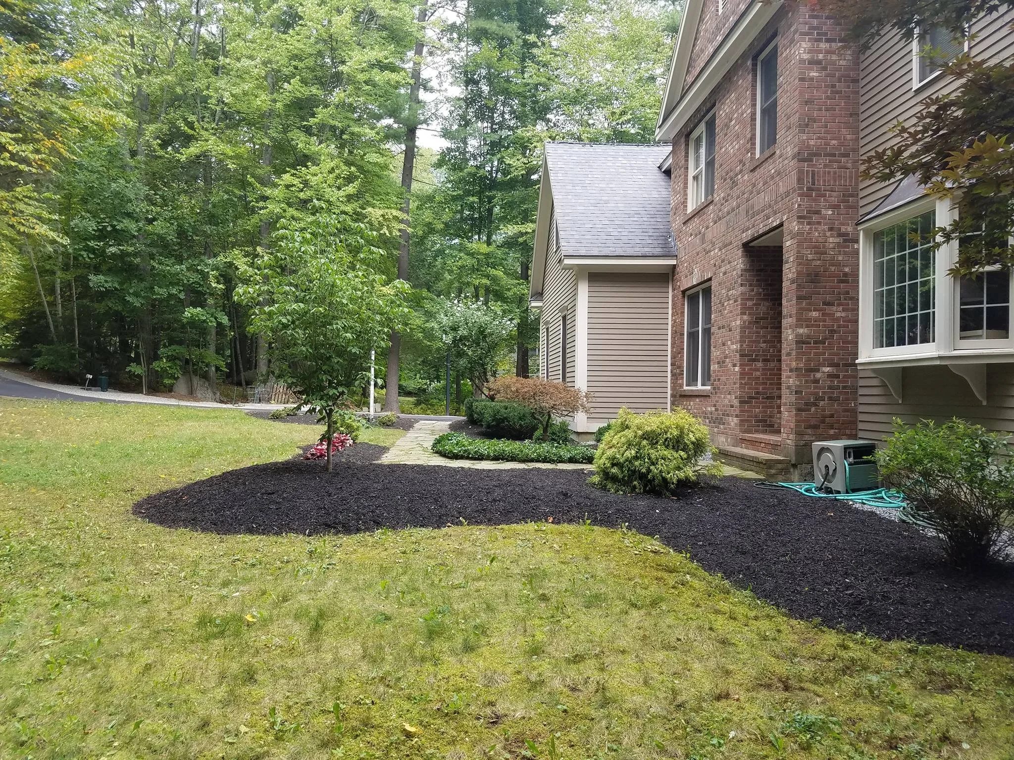 Landscape Renovation After 6.jpg