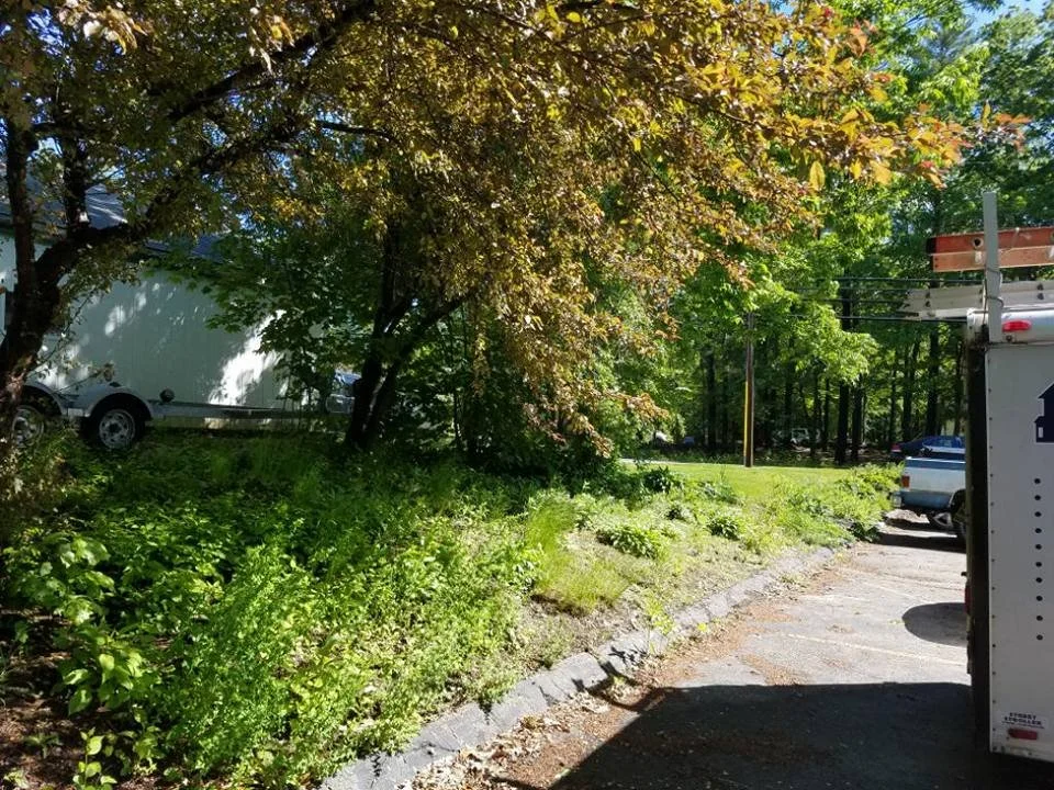 Bed Cleanup and Mulch Before 3.jpg