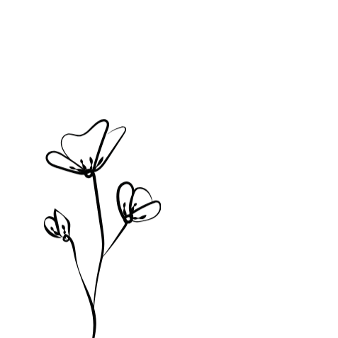 Silhouette of a delicate flower with three buds on thin stems against a white background.