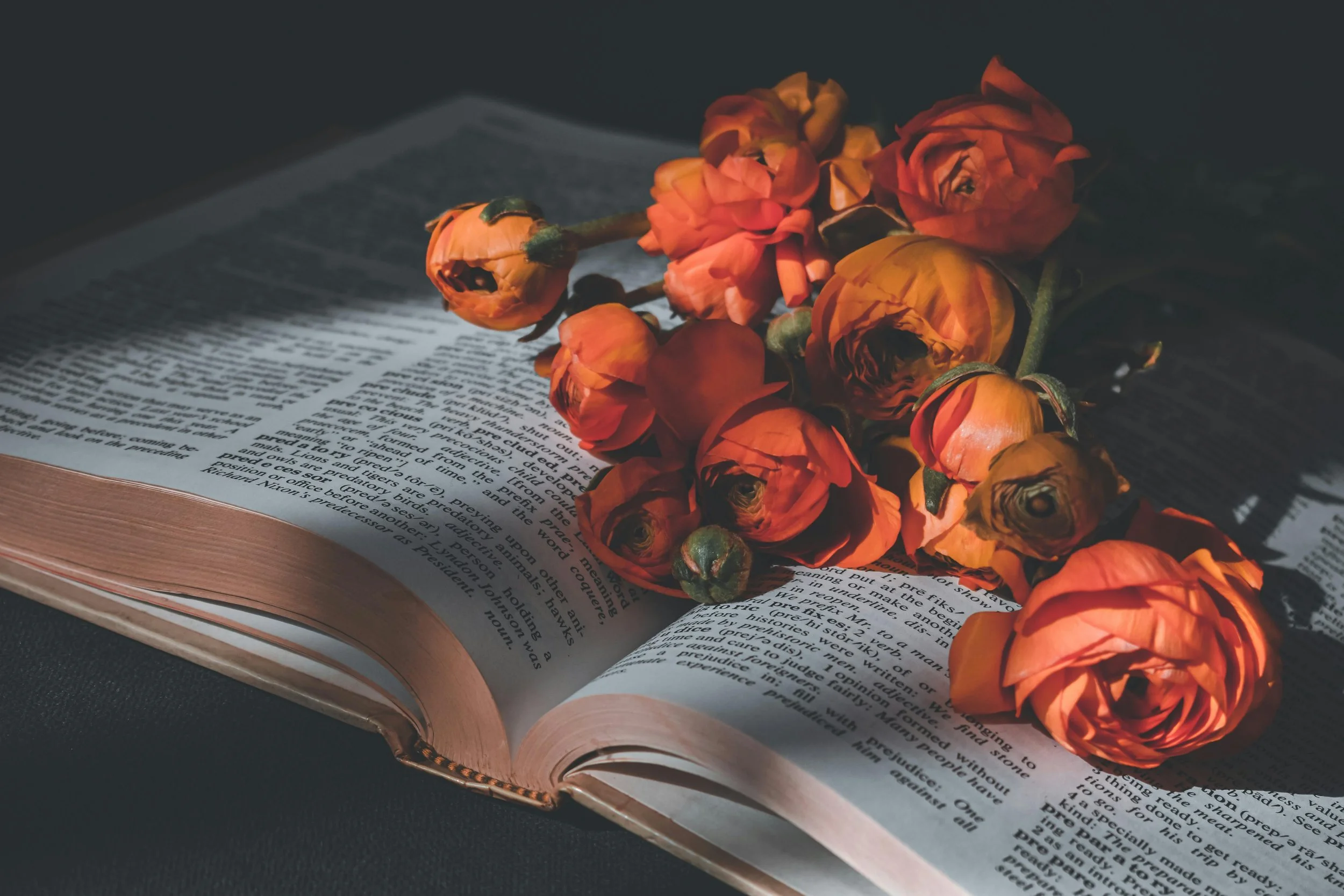 An open Bible with a bunch of orange roses resting on its pages.