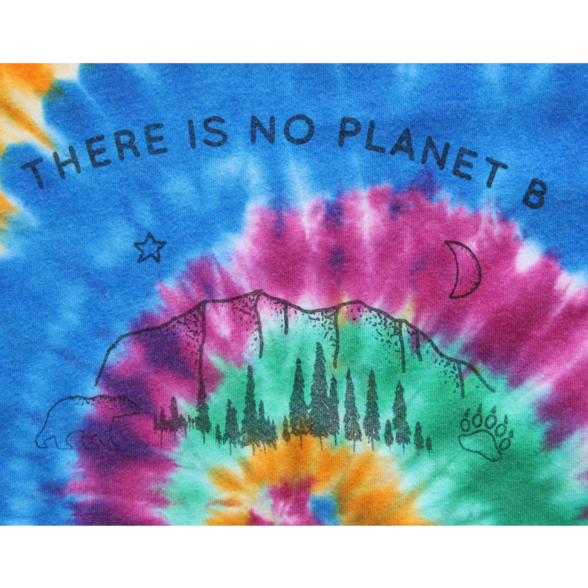 There Is No Planet B (2).png