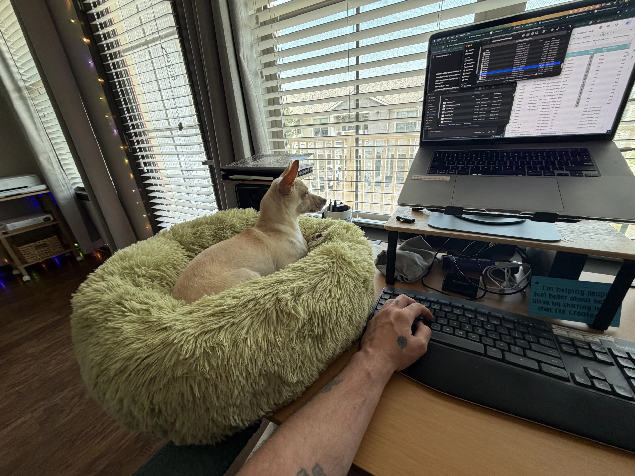flowing through blogging + creating listings