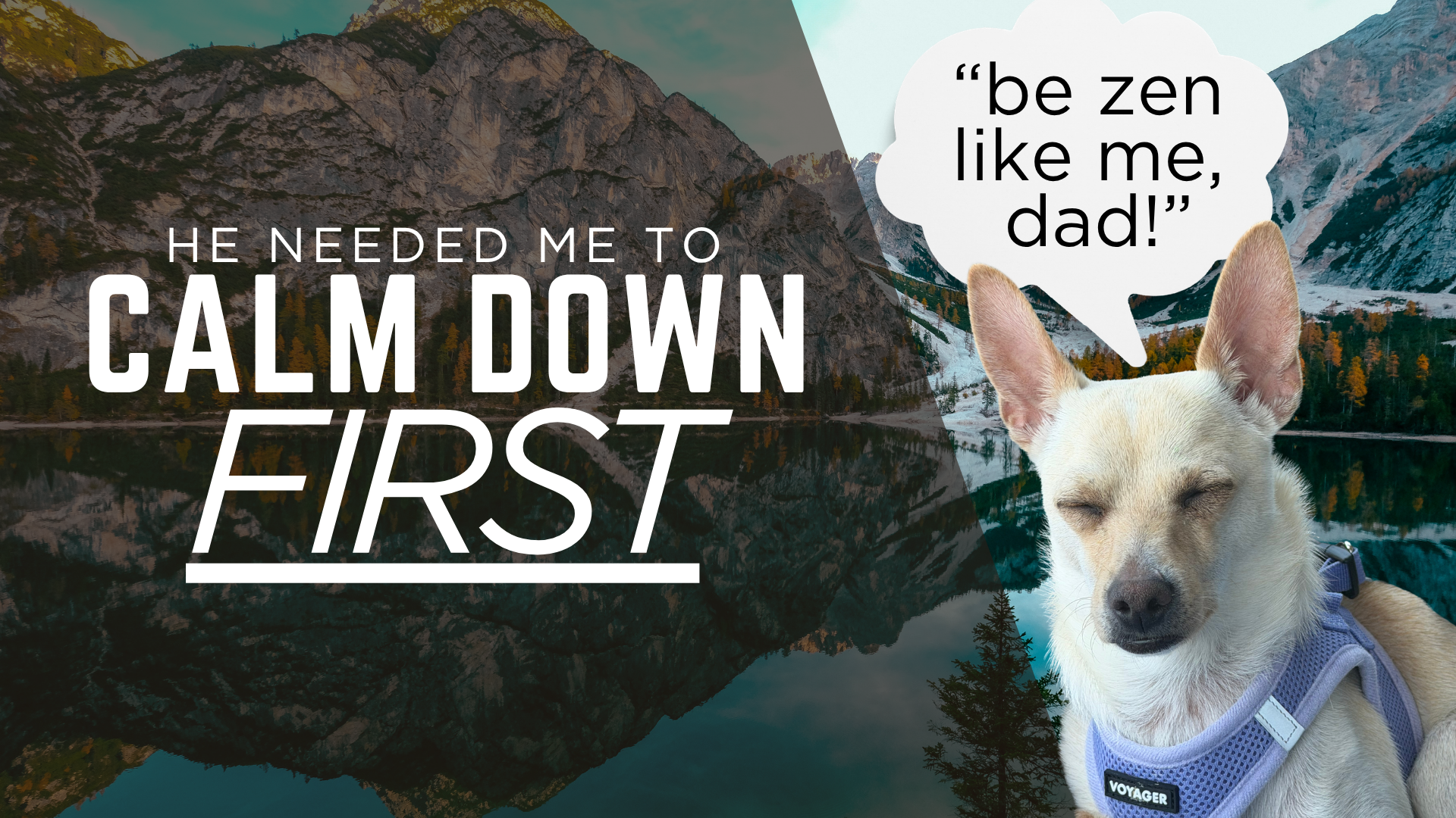 he needed me to calm down first