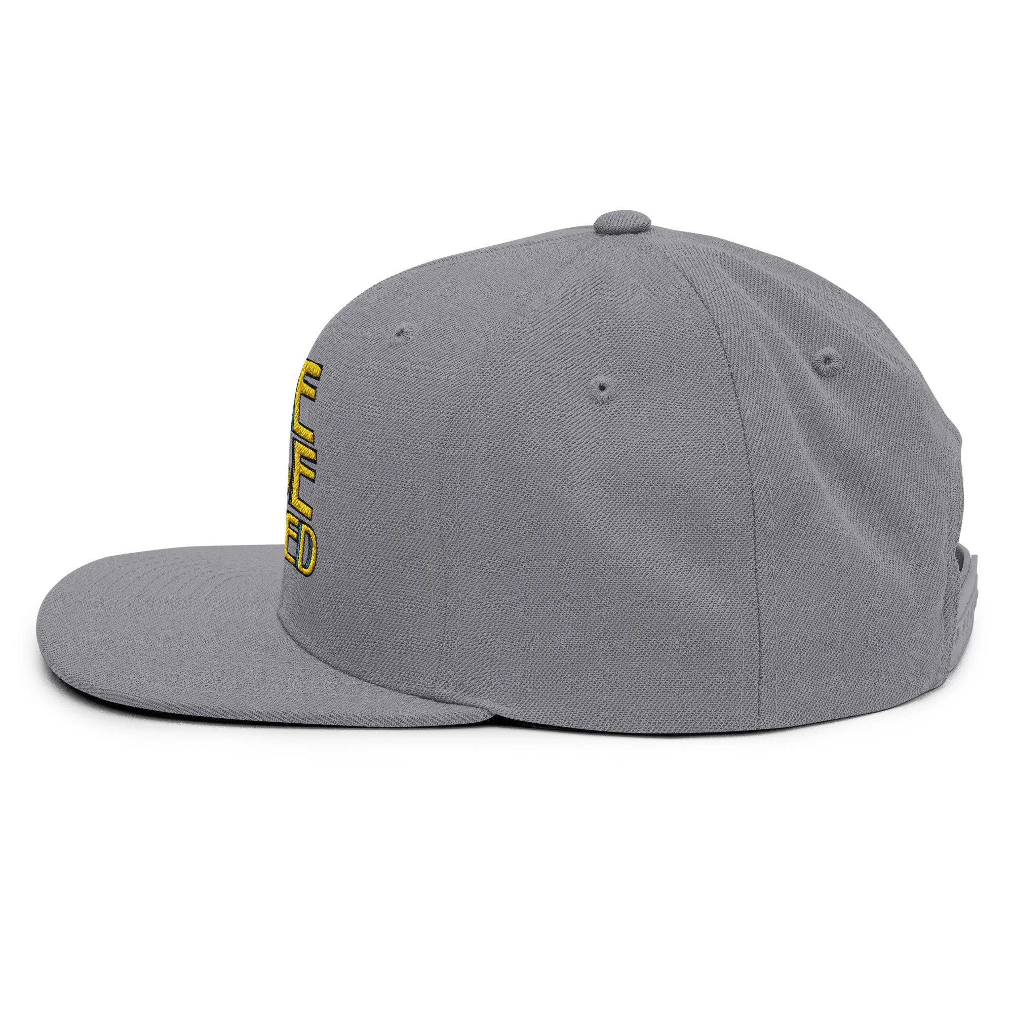 classic-snapback-silver-left-side-69d18a1bf288a.jpg