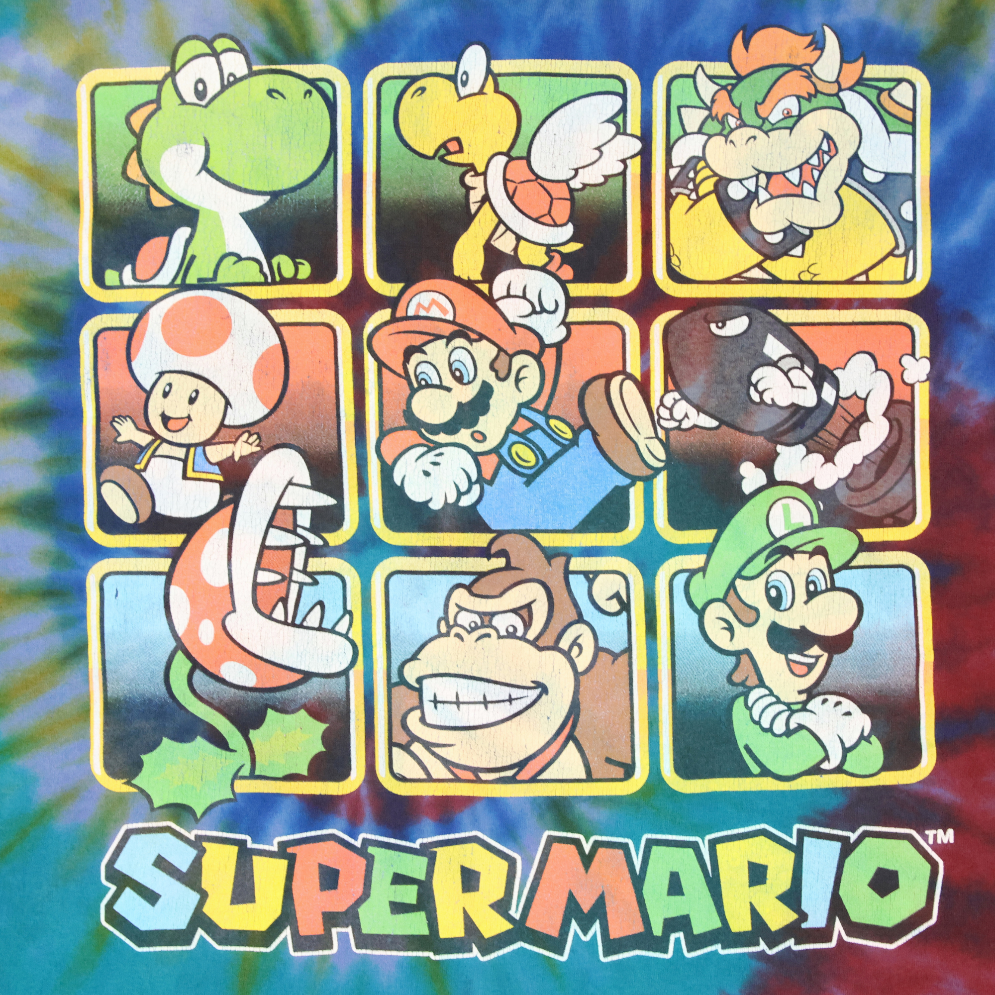 Super Mario Characters (2).png