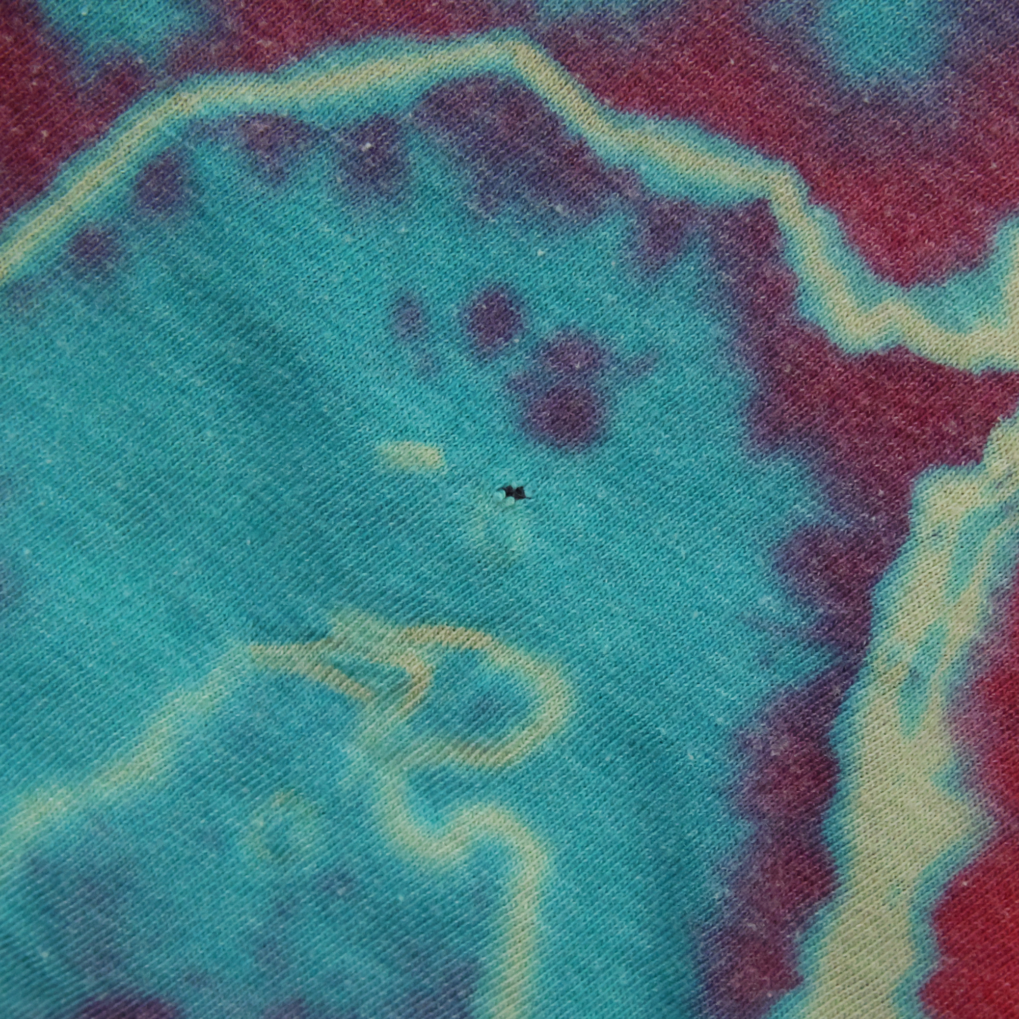 Berry Waves Tank (4).png