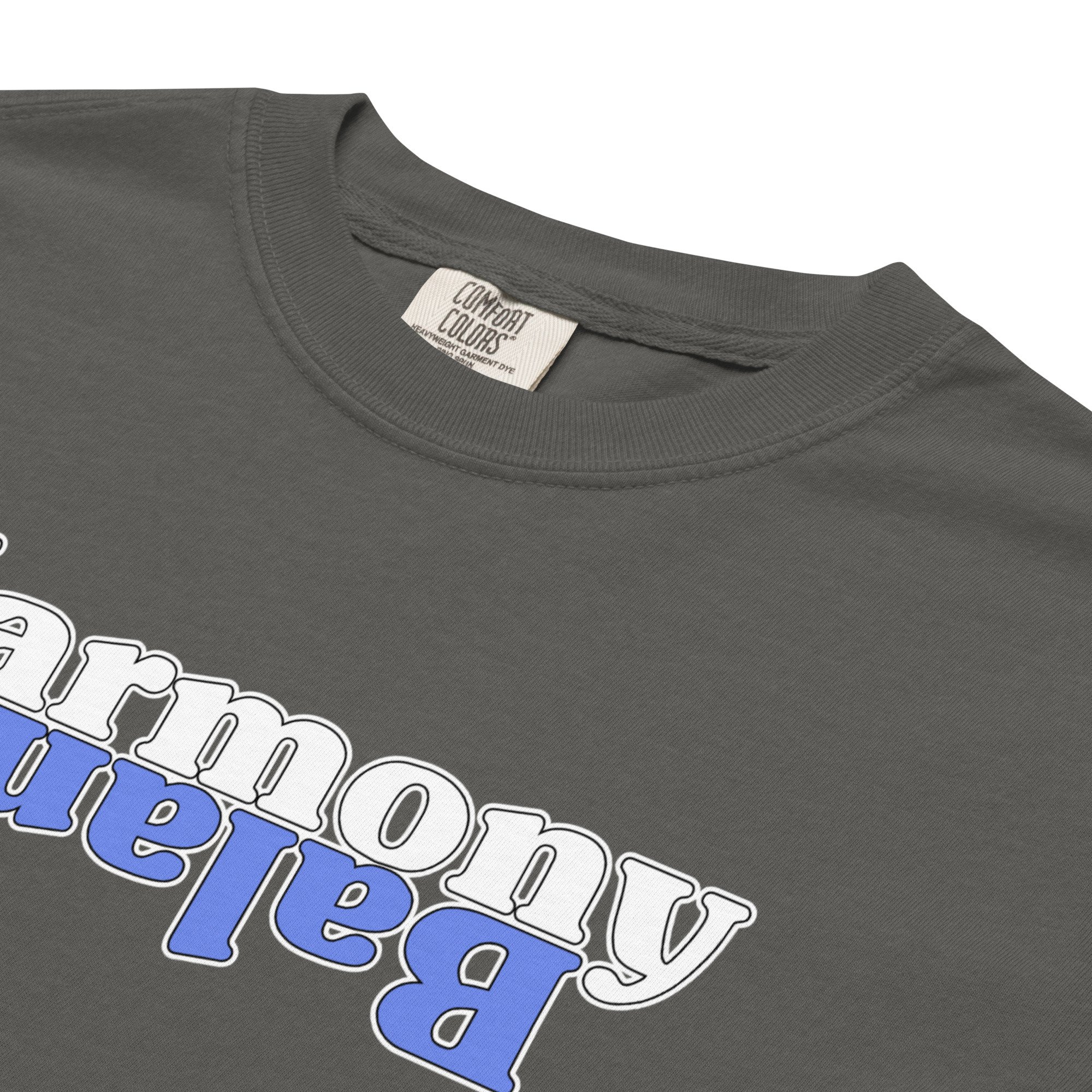 unisex-garment-dyed-heavyweight-t-shirt-pepper-product-details-2-69d187451f7be.jpg