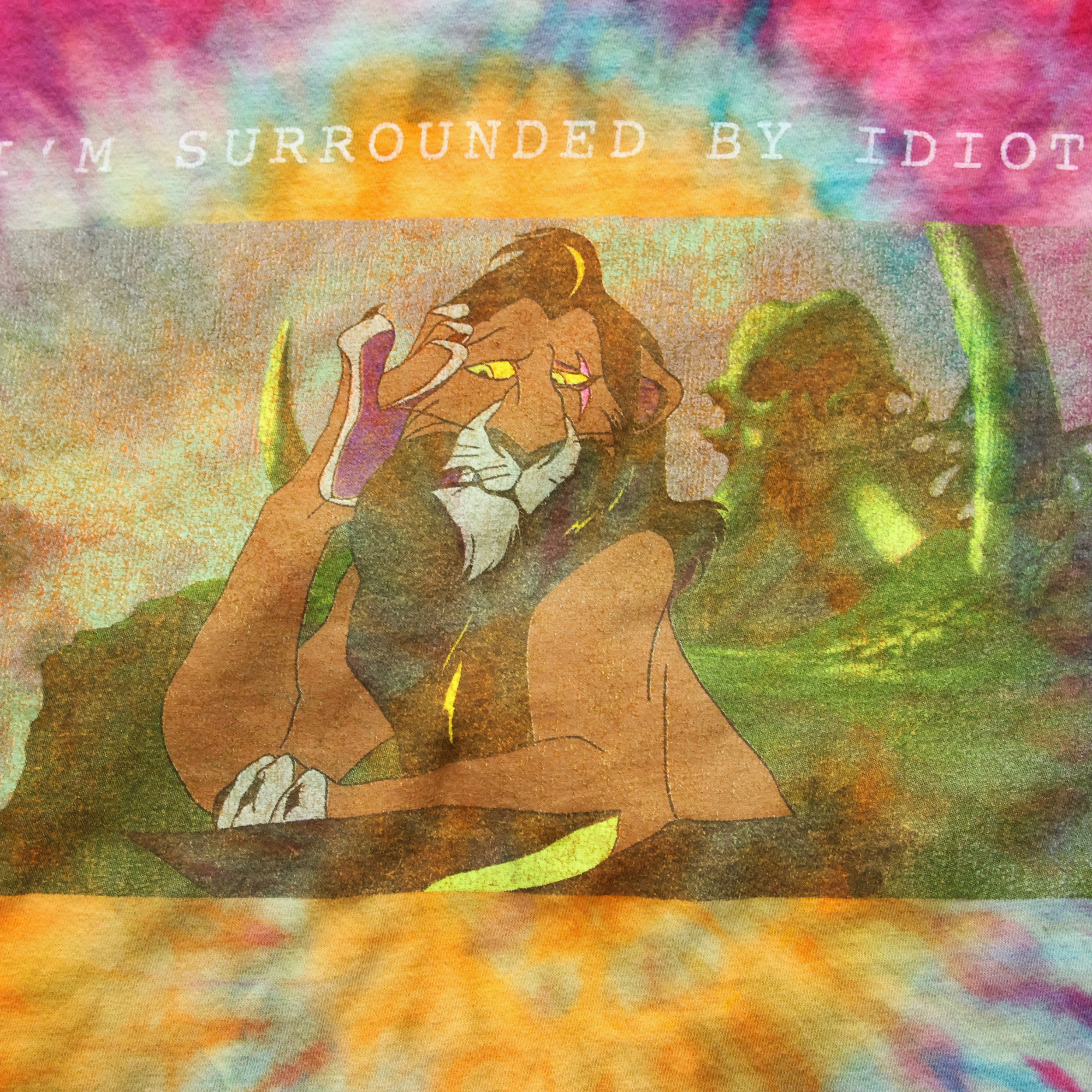 Lion King I'm Surrounded by Idiots (2).png