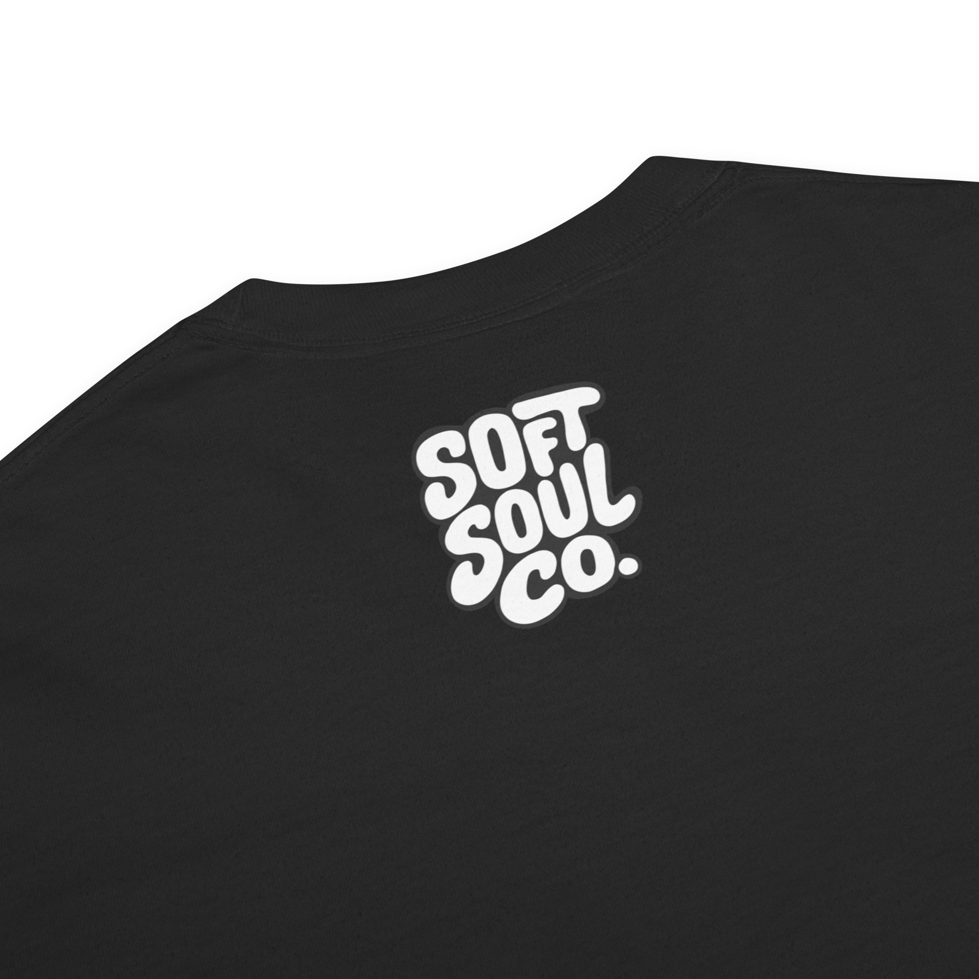 unisex-garment-dyed-heavyweight-t-shirt-black-product-details-69d17191ae485.jpg