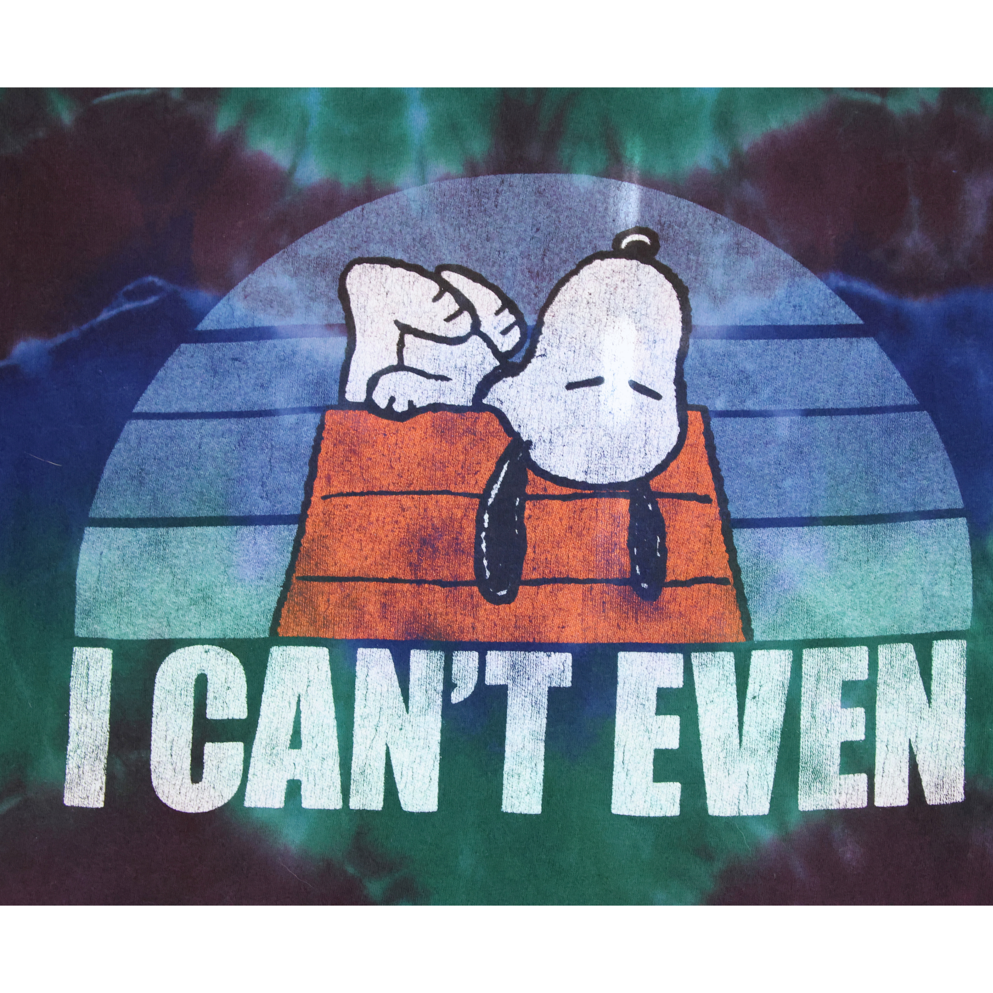 Snoopy I Can't Even (2).png