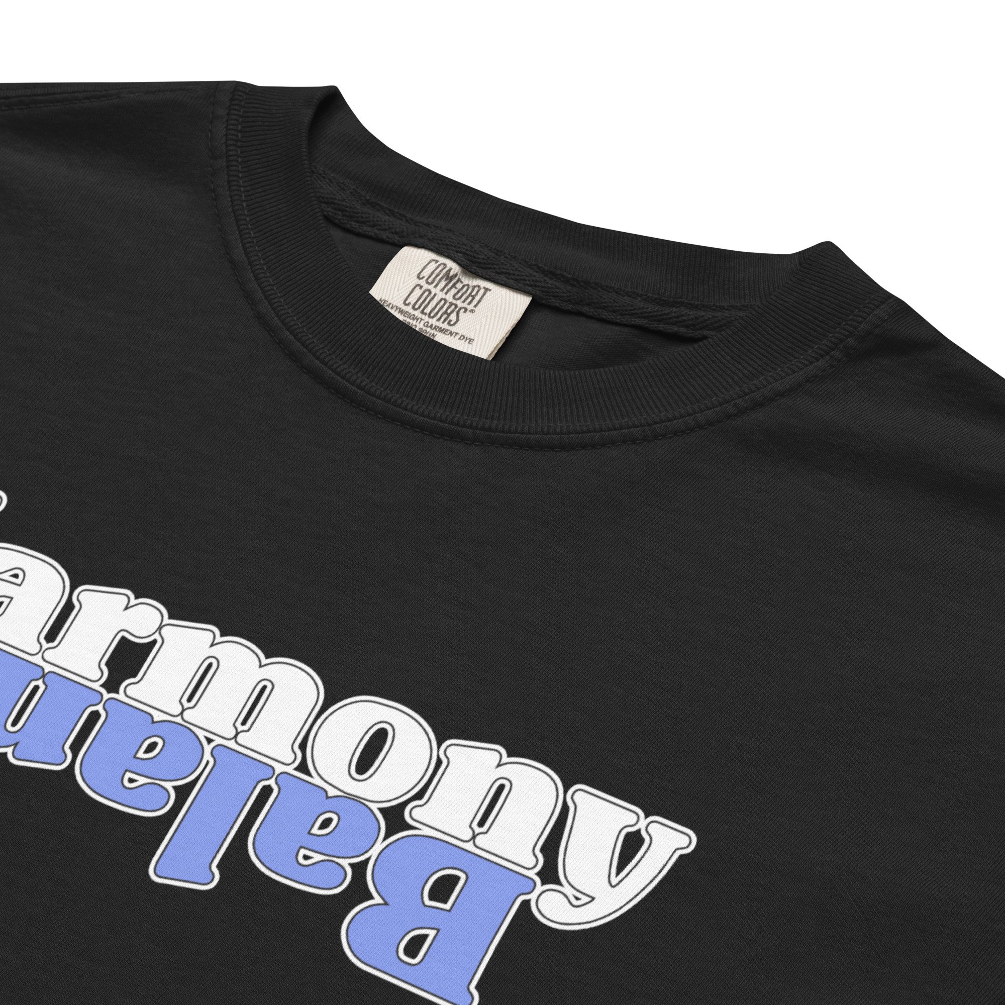 unisex-garment-dyed-heavyweight-t-shirt-black-product-details-2-69d187451f704.jpg