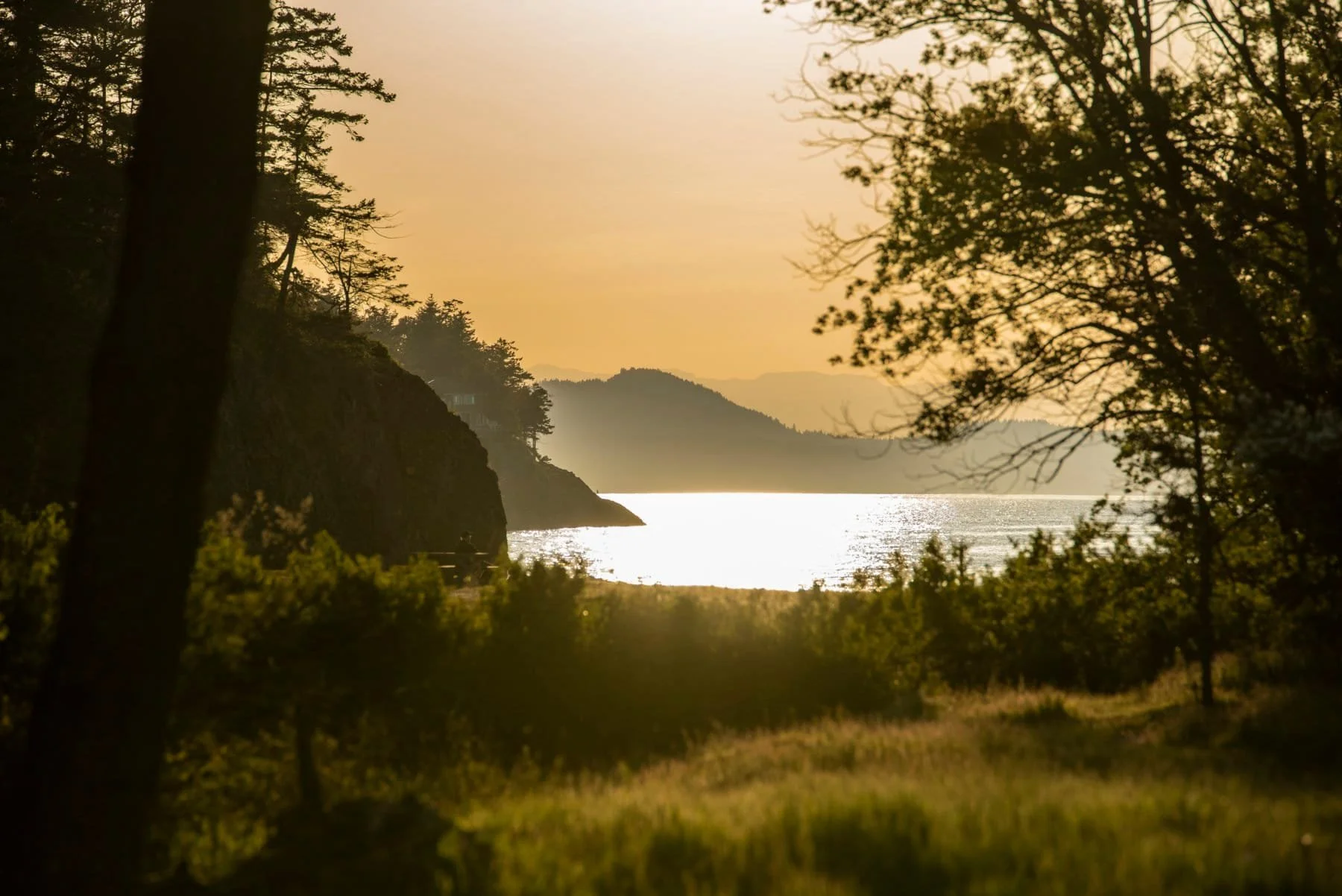 8 Tips To Improve Your Photography