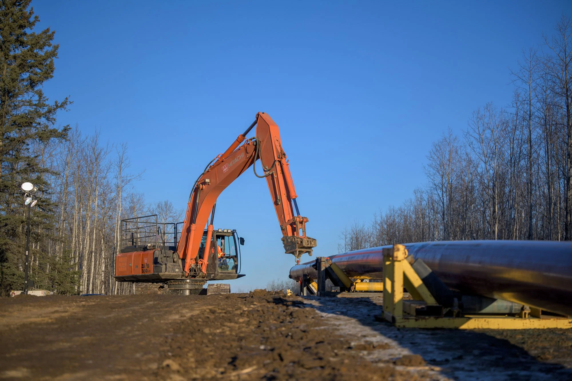 An orange hydraulic excavator is working on pipeline installation in a rural area with leafless trees and clear blue sky.