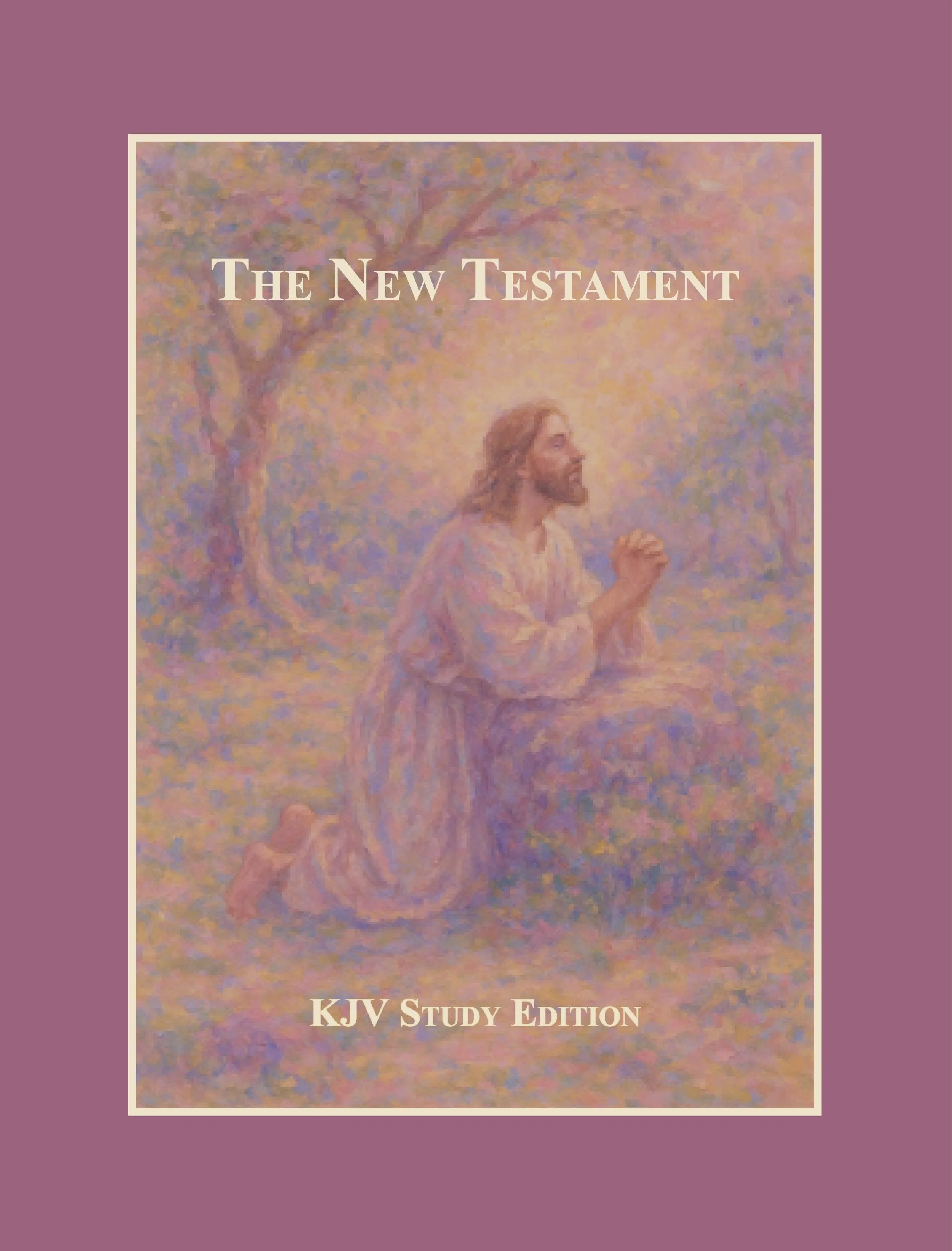 Book cover of 'The New Testament' KJV Study Edition showing a painting of Jesus Christ kneeling and praying outdoors.