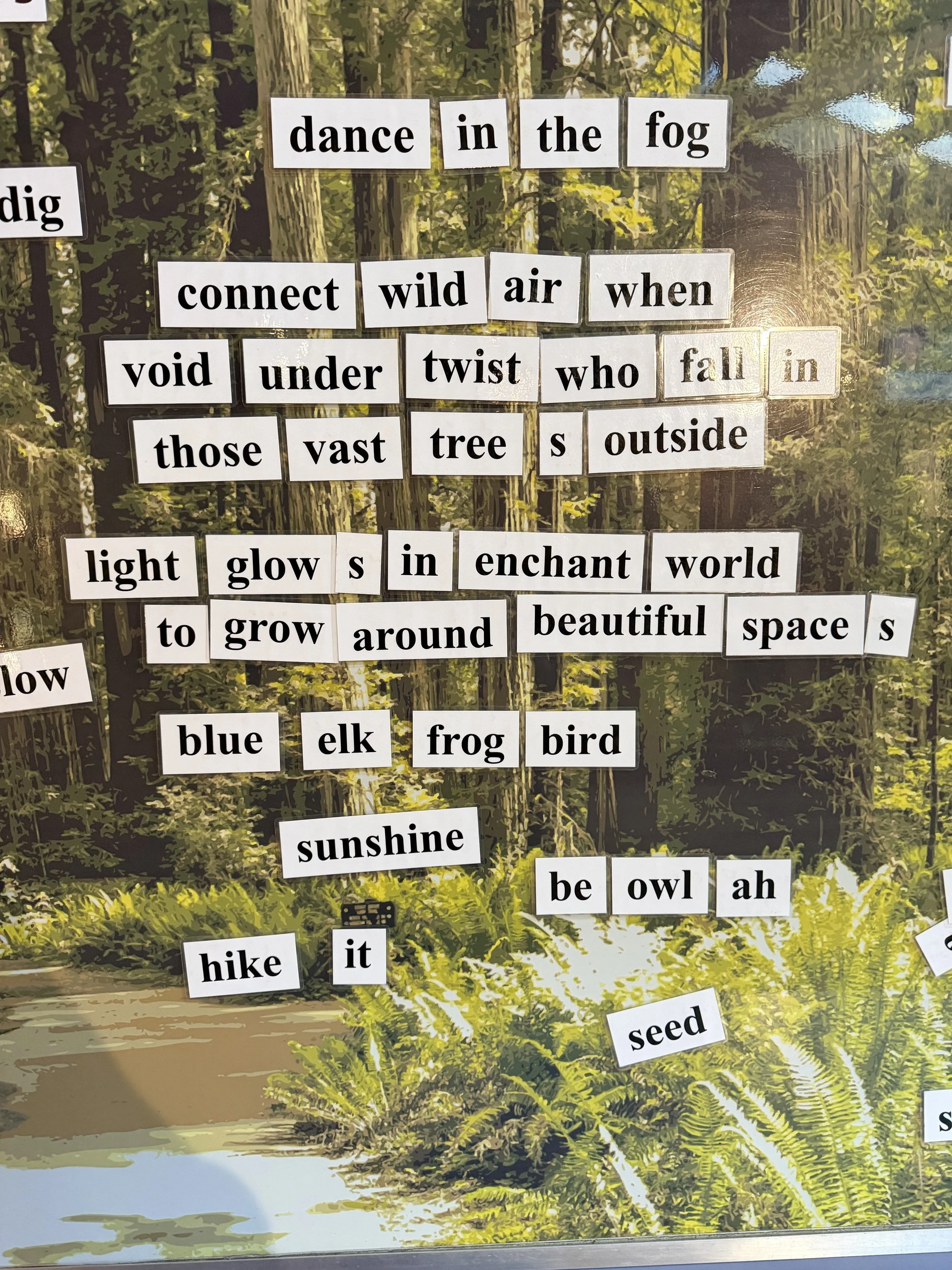 Redwood National Park Center Board 