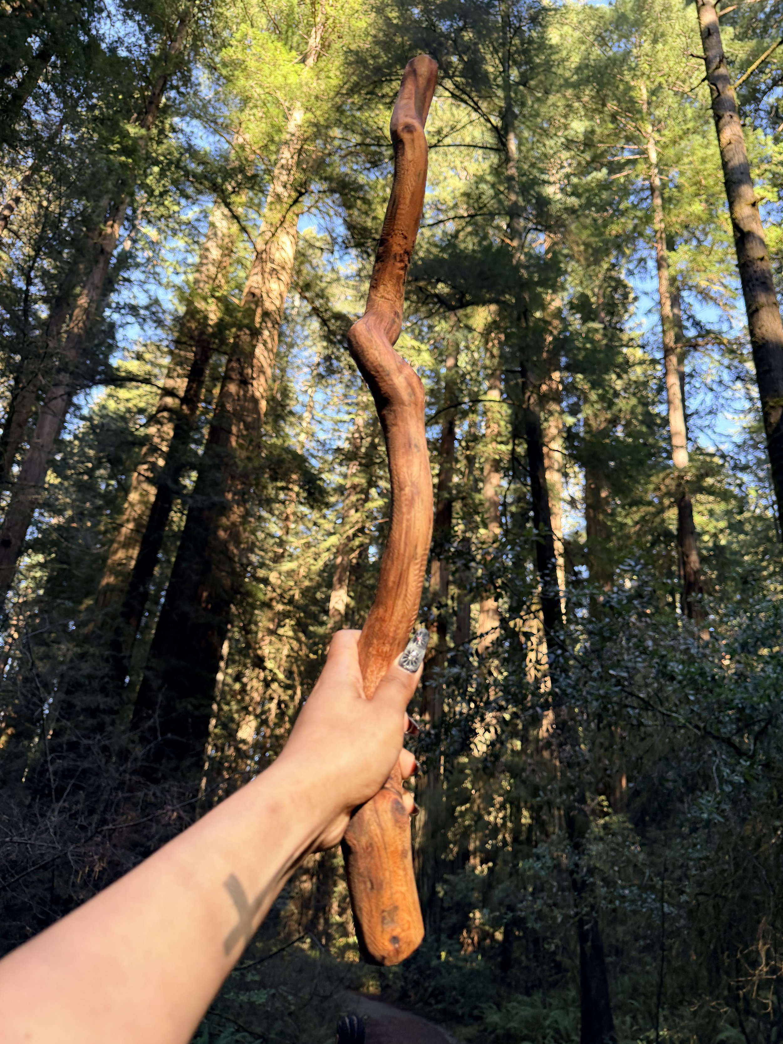 Wooden Wand 