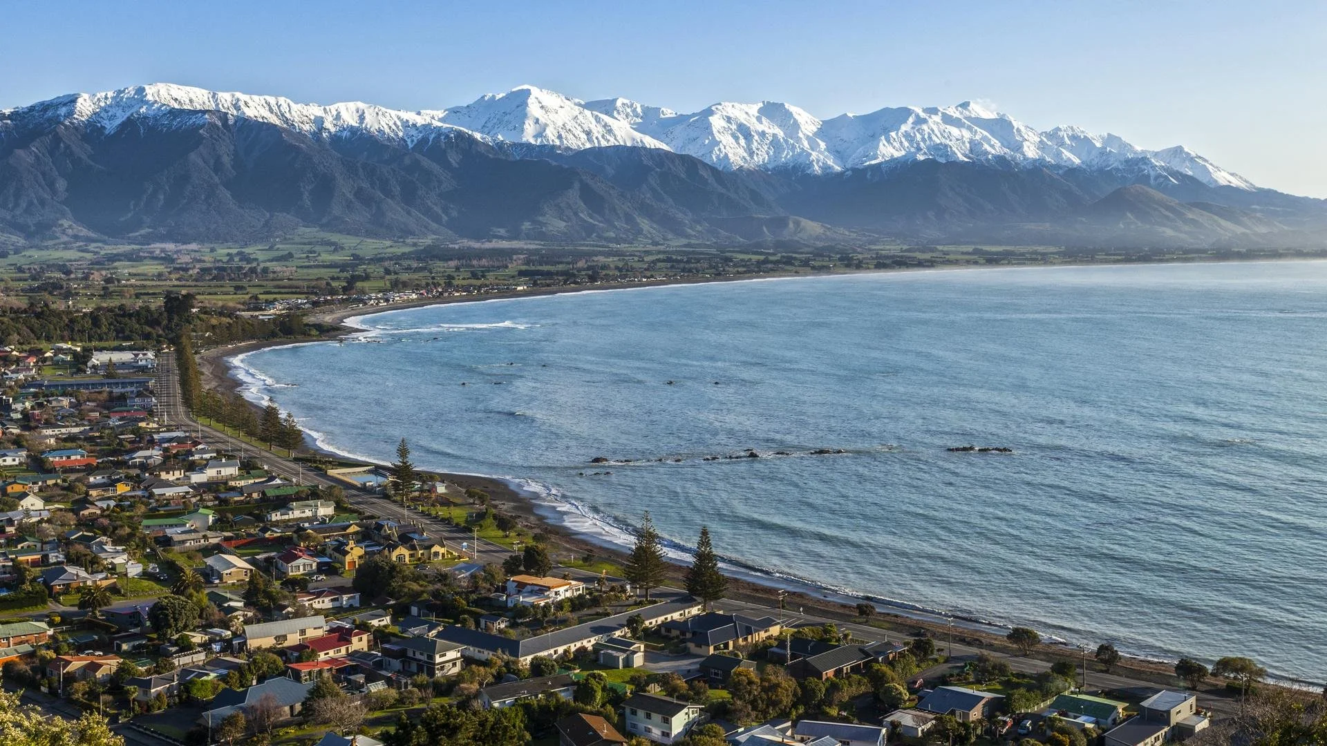 Best Places to Live in New Zealand for Families