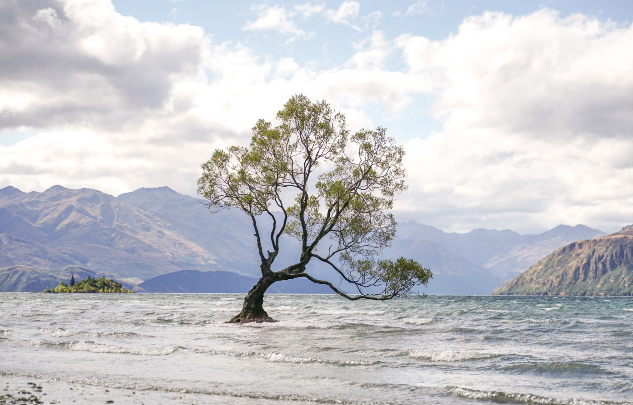 Immigration and Visa Guidance