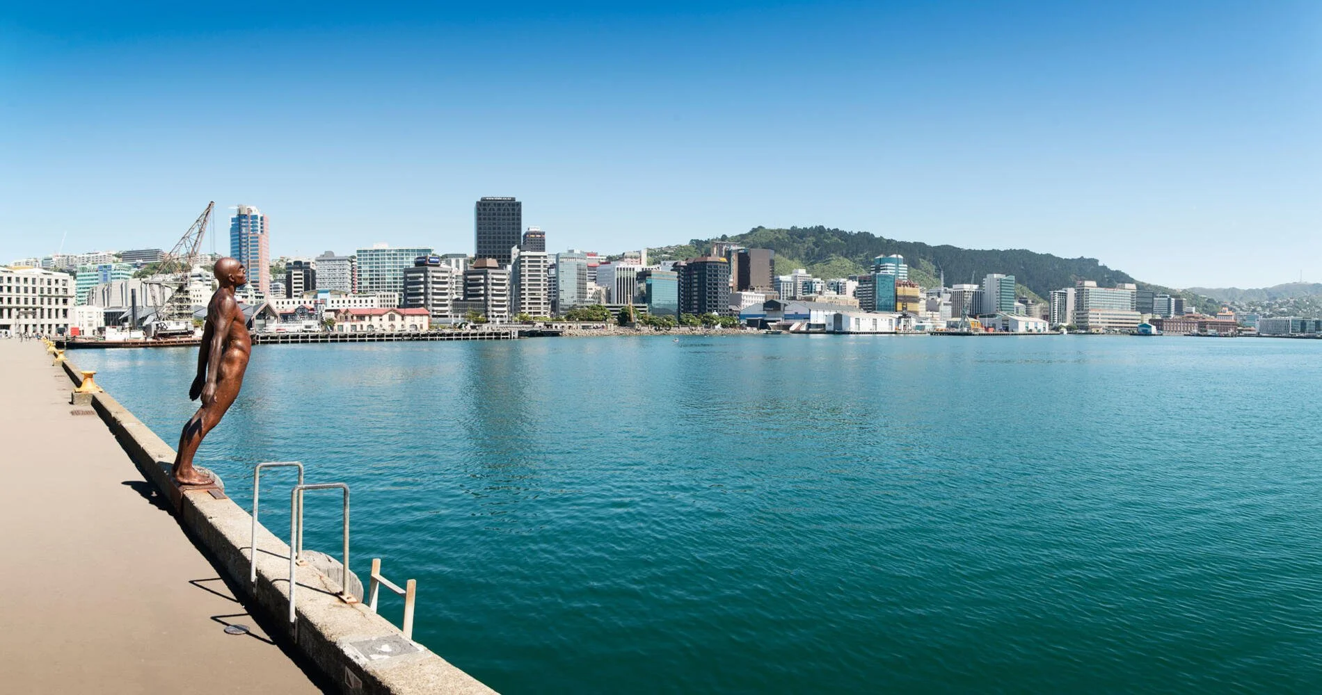 View of a harbor with a city skyline in the background, including high-rise buildings and a hill, and a bronze mermaid sculpture facing the water on a concrete pier.