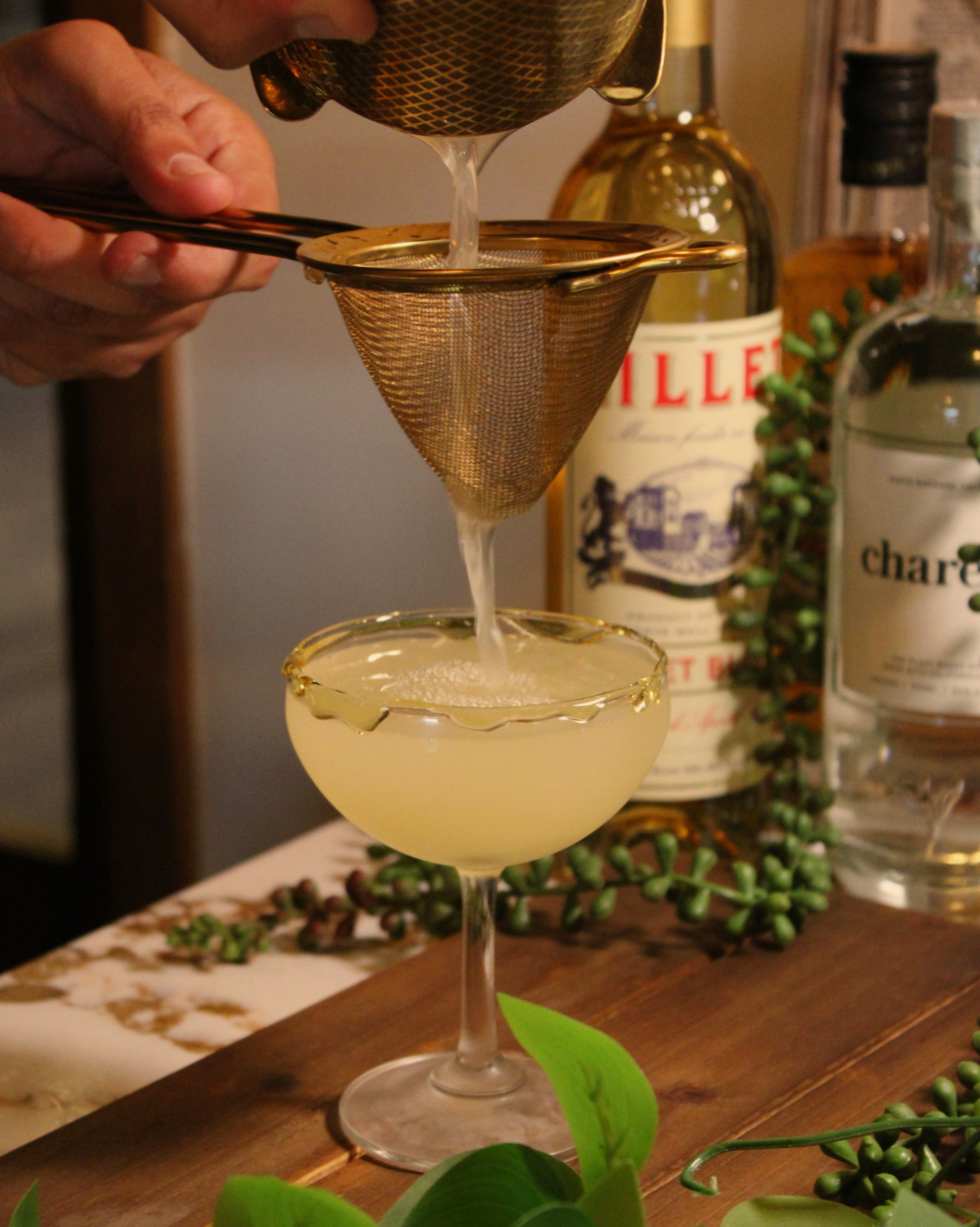 A cocktail being strained into a coupe glass with a honey rim