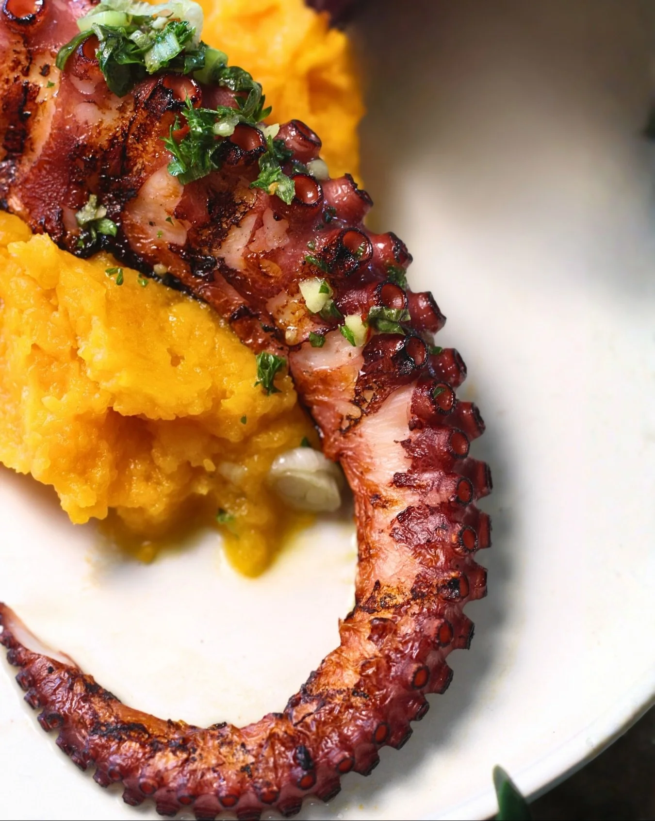 Almost the weekend! Plan a night out at The Beehive 🐙 Fresh Pulpo with chimichurri atop of a butternut squash pur&eacute;e, and paired with caper berries. 

___________________________________________________

#thebeehiveukiah #pulpo #octopus #grill