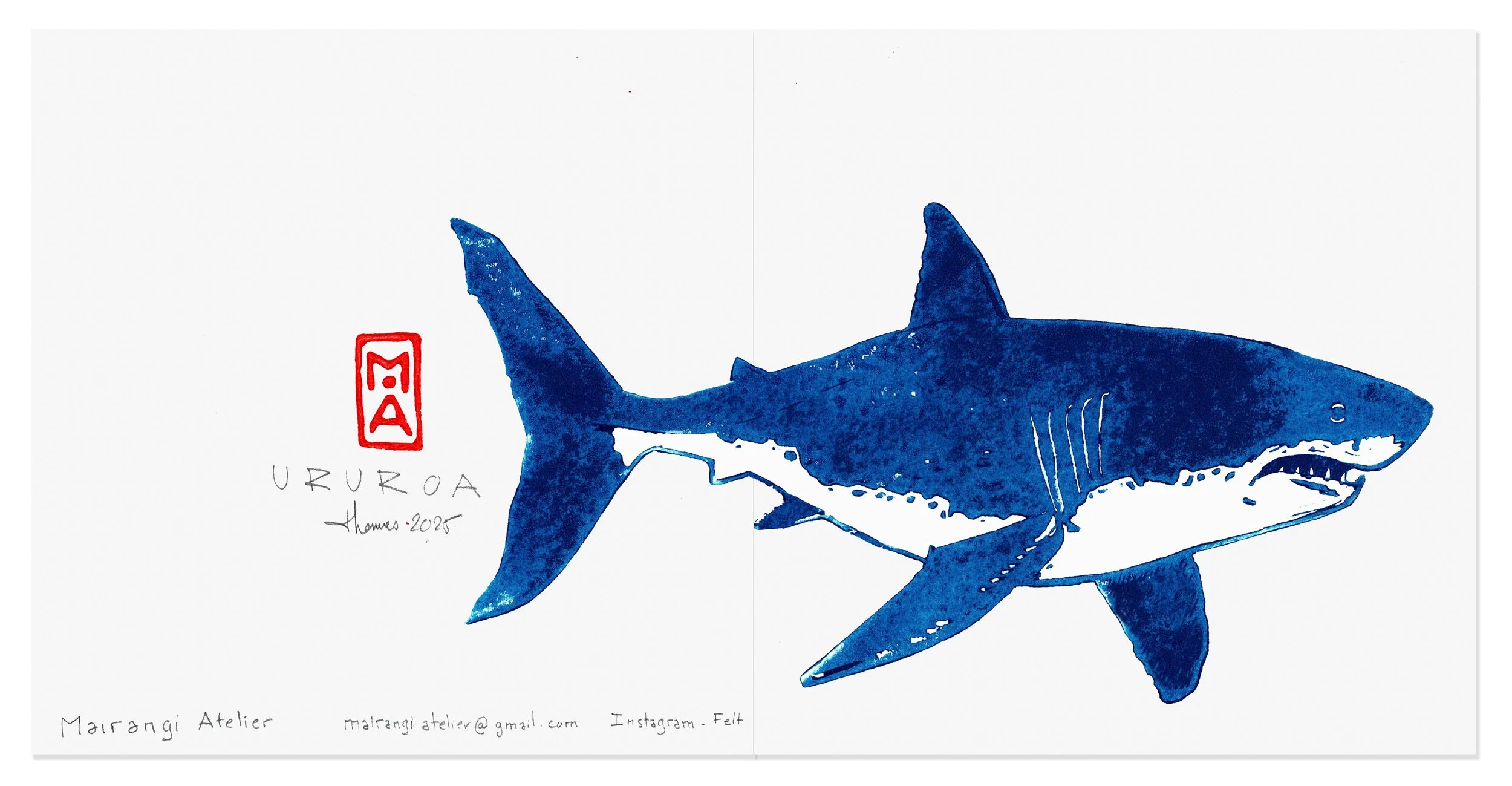 shark card 1.jpg
