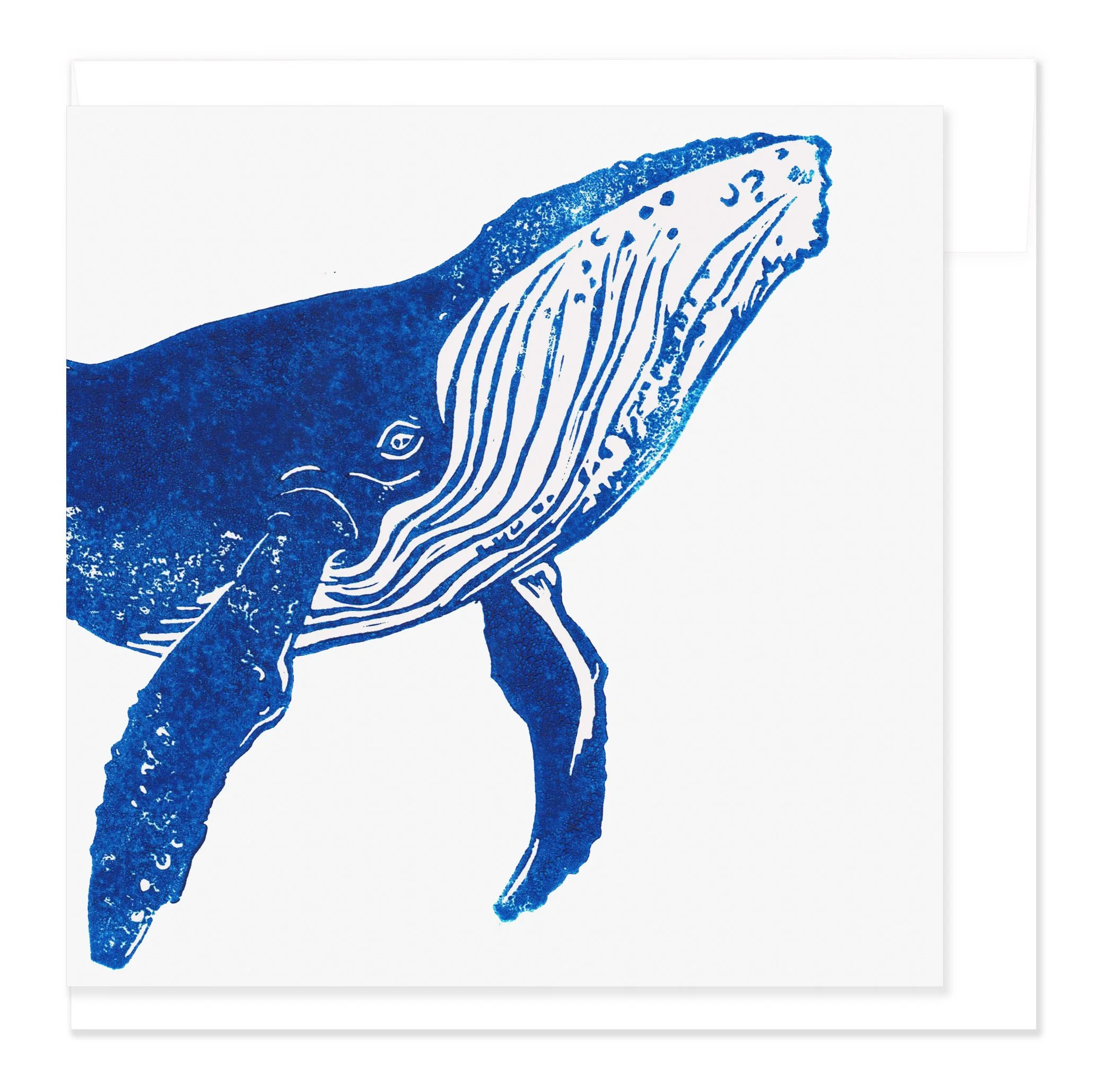 Tohorā greeting card