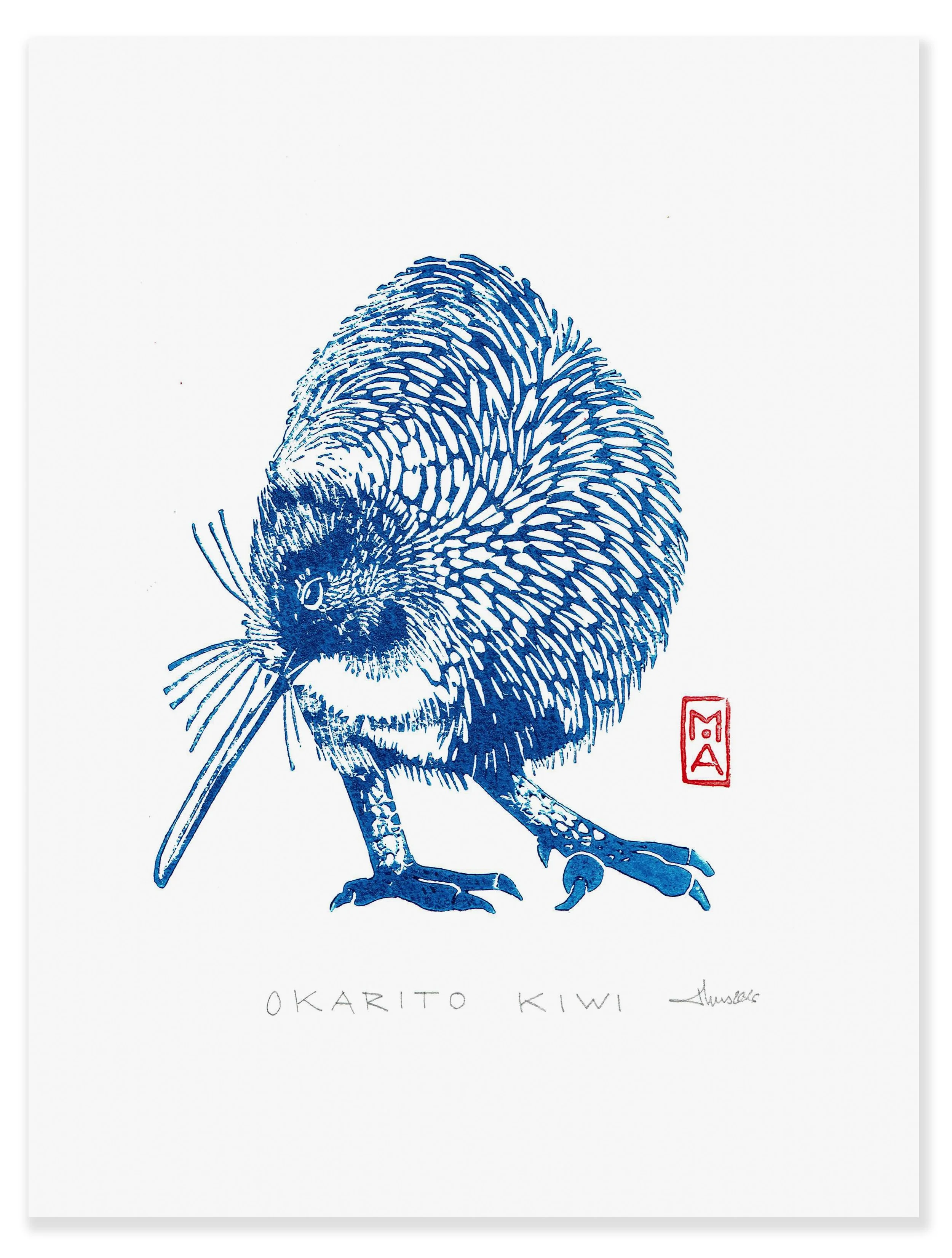 Okarito kiwi
