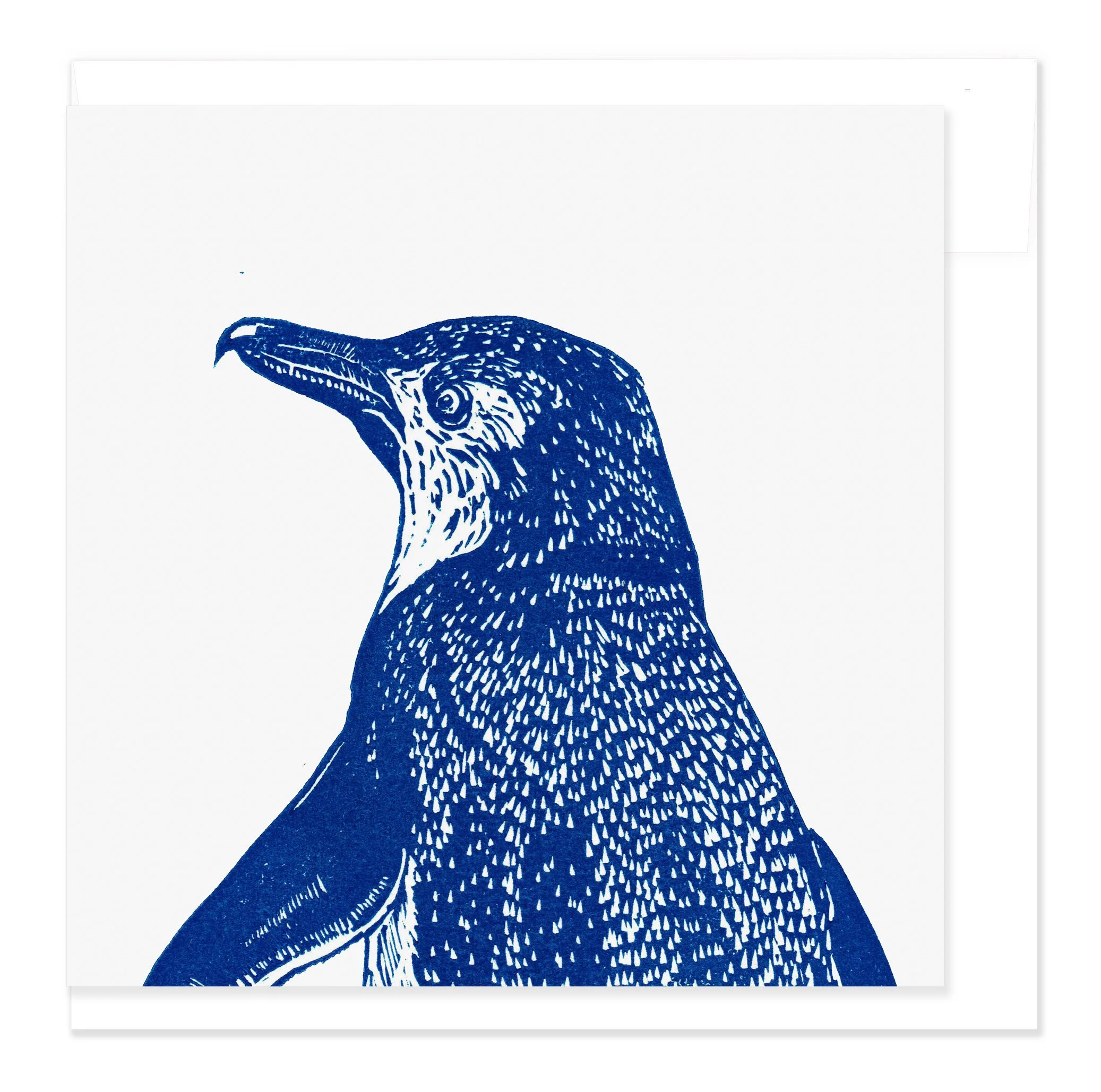 Kororā greeting card