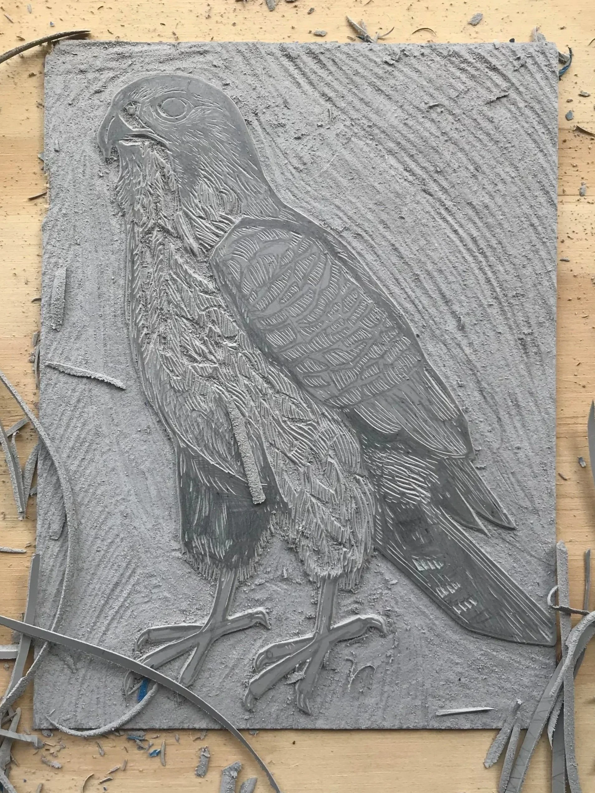 Relief carving of a bird, possibly an eagle, on a gray stone slab with scattered stone shavings around it.